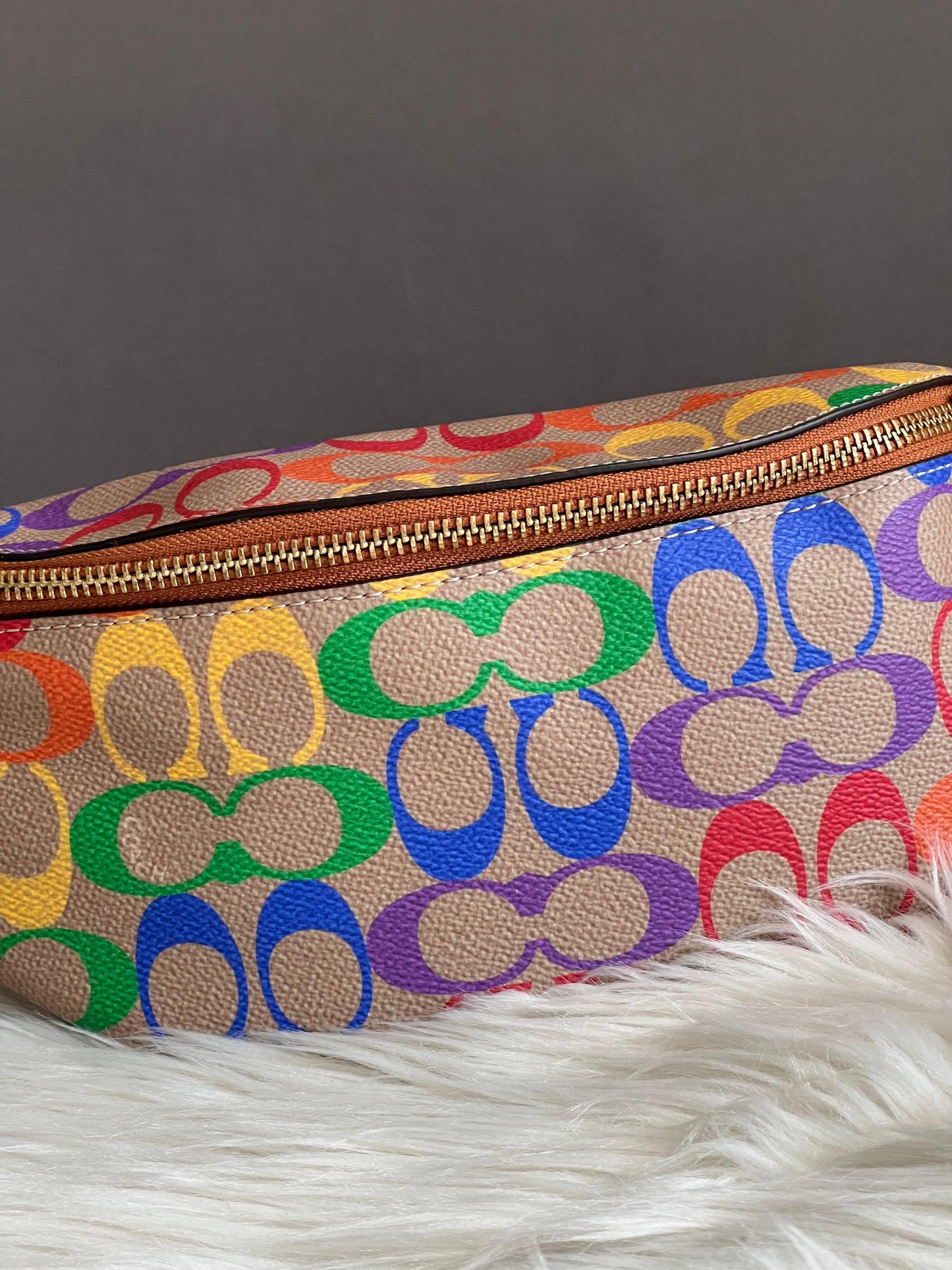 Coach Charter Belt Bag 7 in Rainbow Signature Canvas