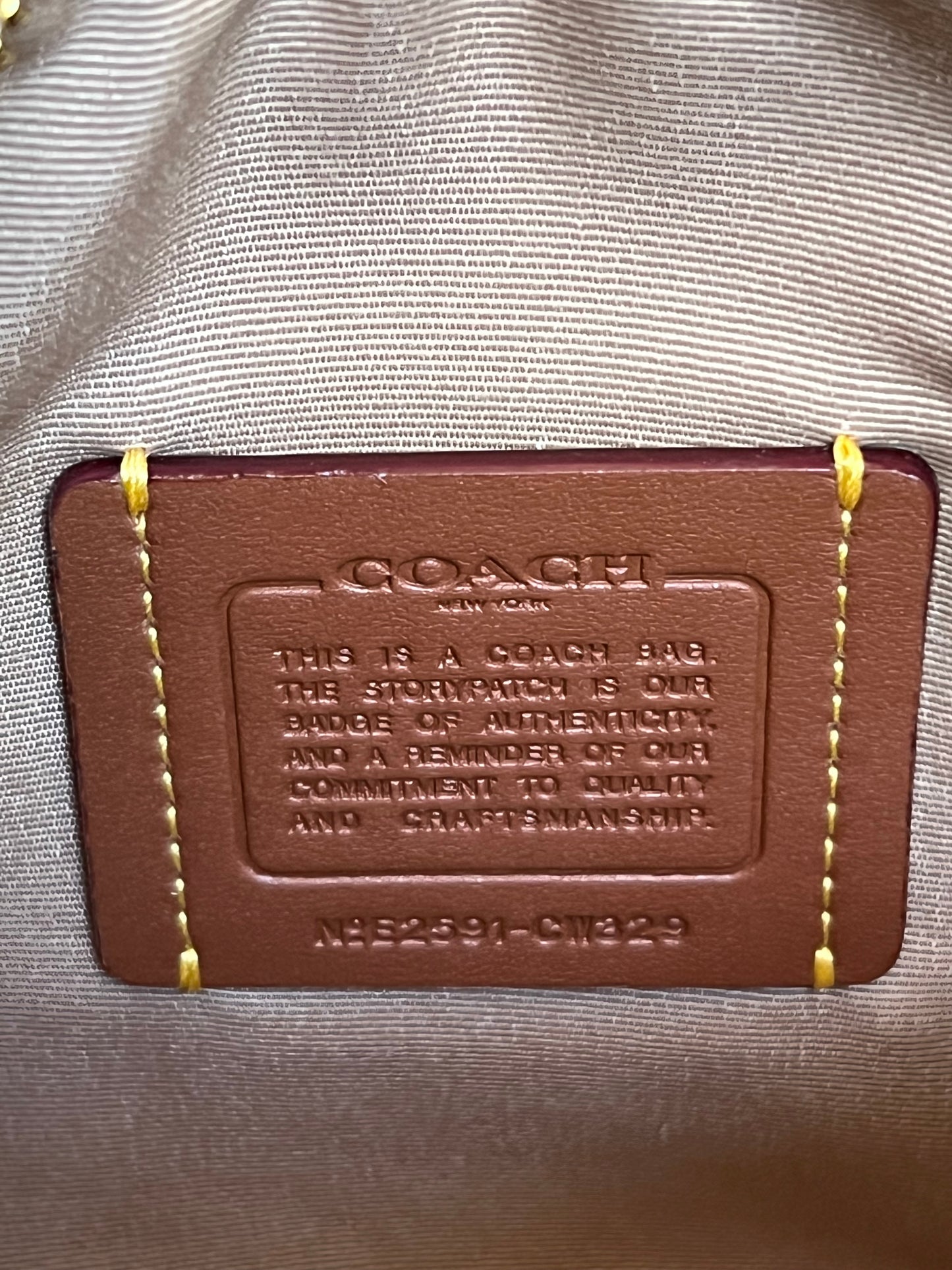 Coach Mini Rowan Crossbody Bag in Signature Canvas