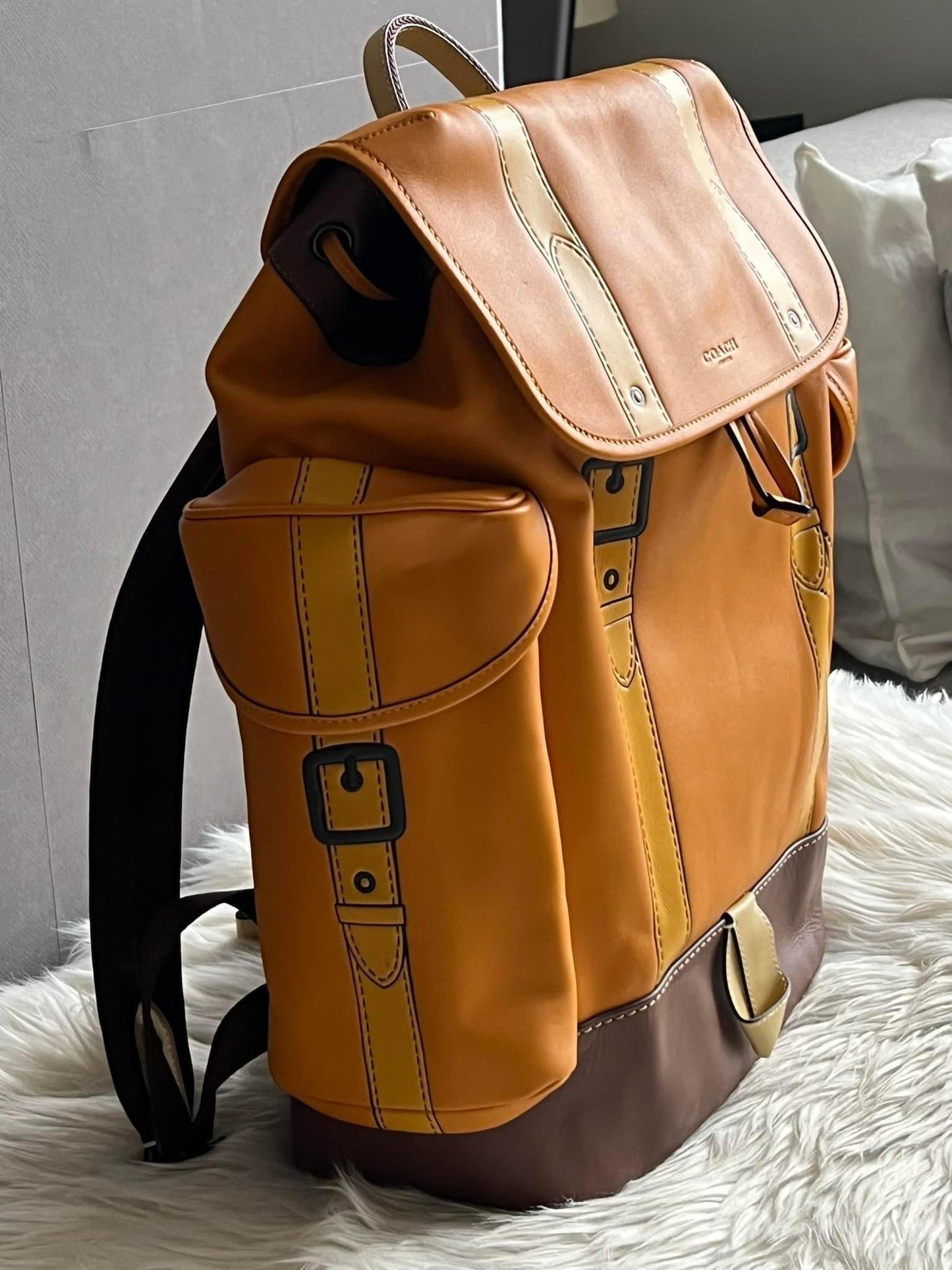 Coach Hitch Backpack with Trompe L’oeil
