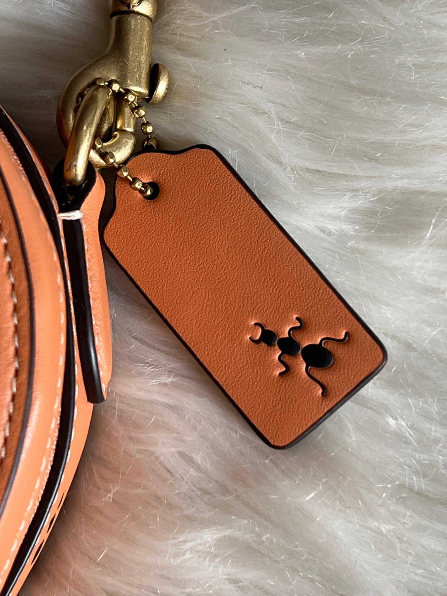 Coach X Observed By Us Heart Crossbody