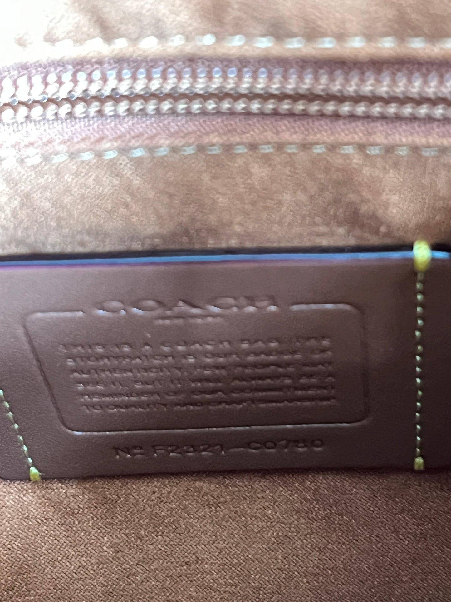 Coach Hitch Backpack