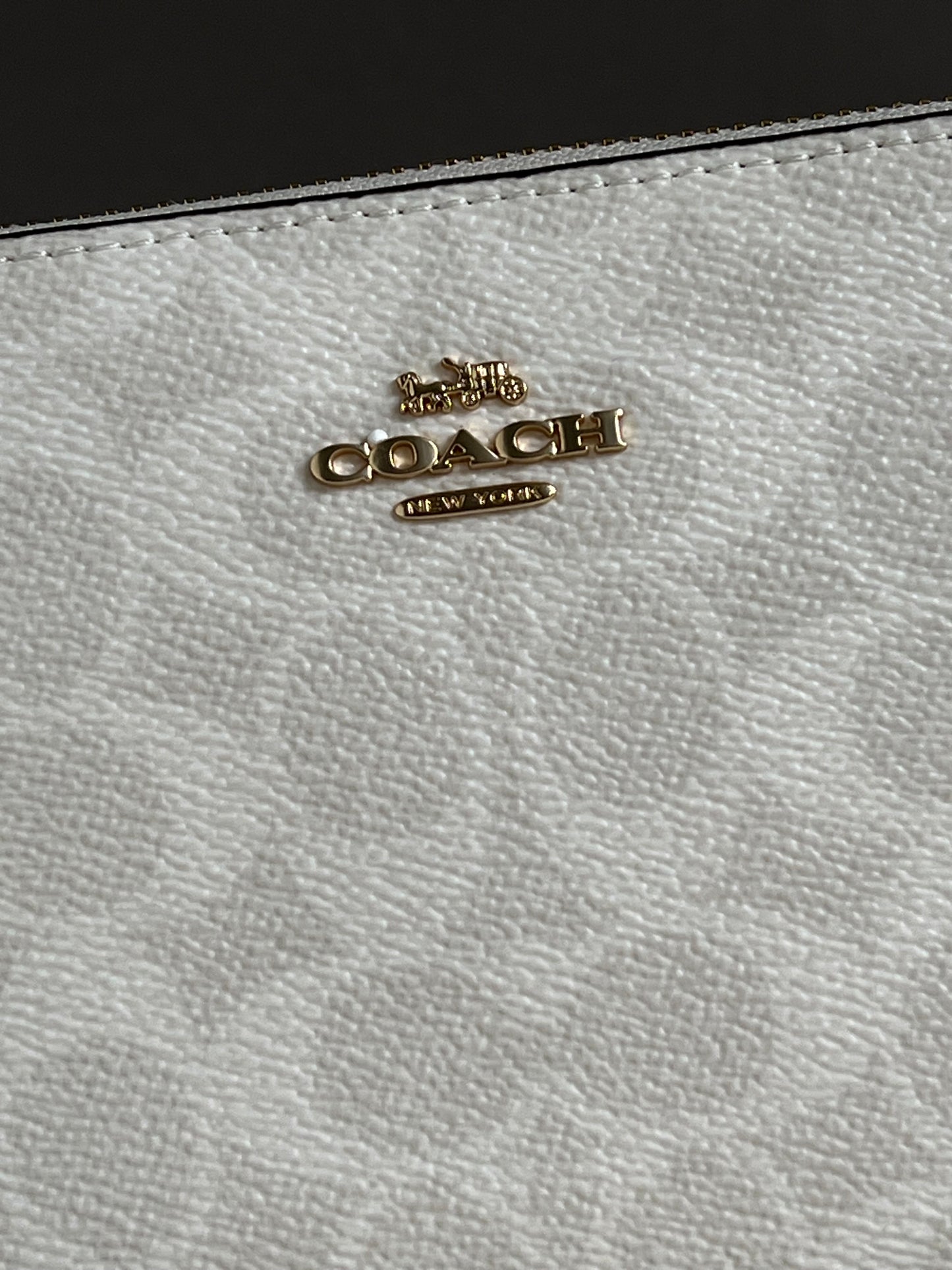 Coach Nolita 19 In Signature Canvas