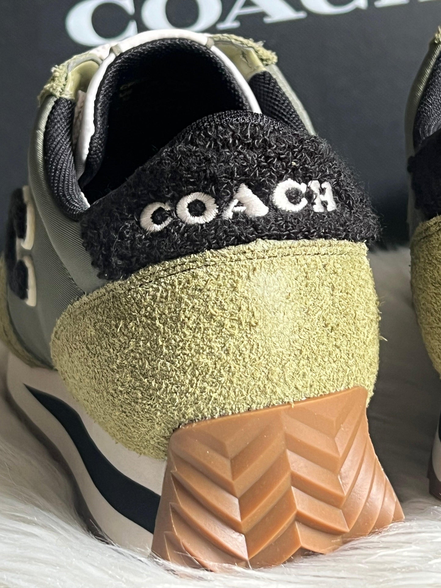 Coach Runner Sneaker