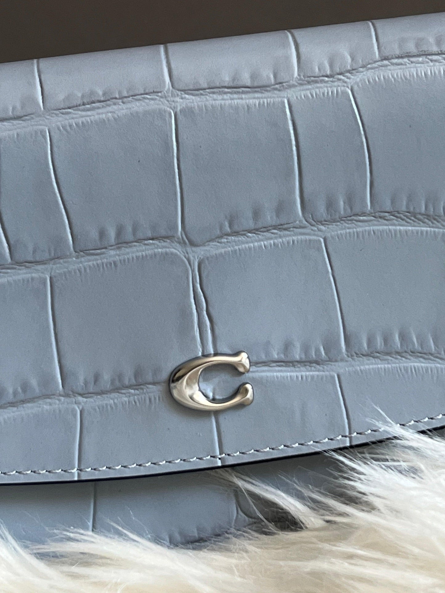 Coach Hayden Crossbody Bag