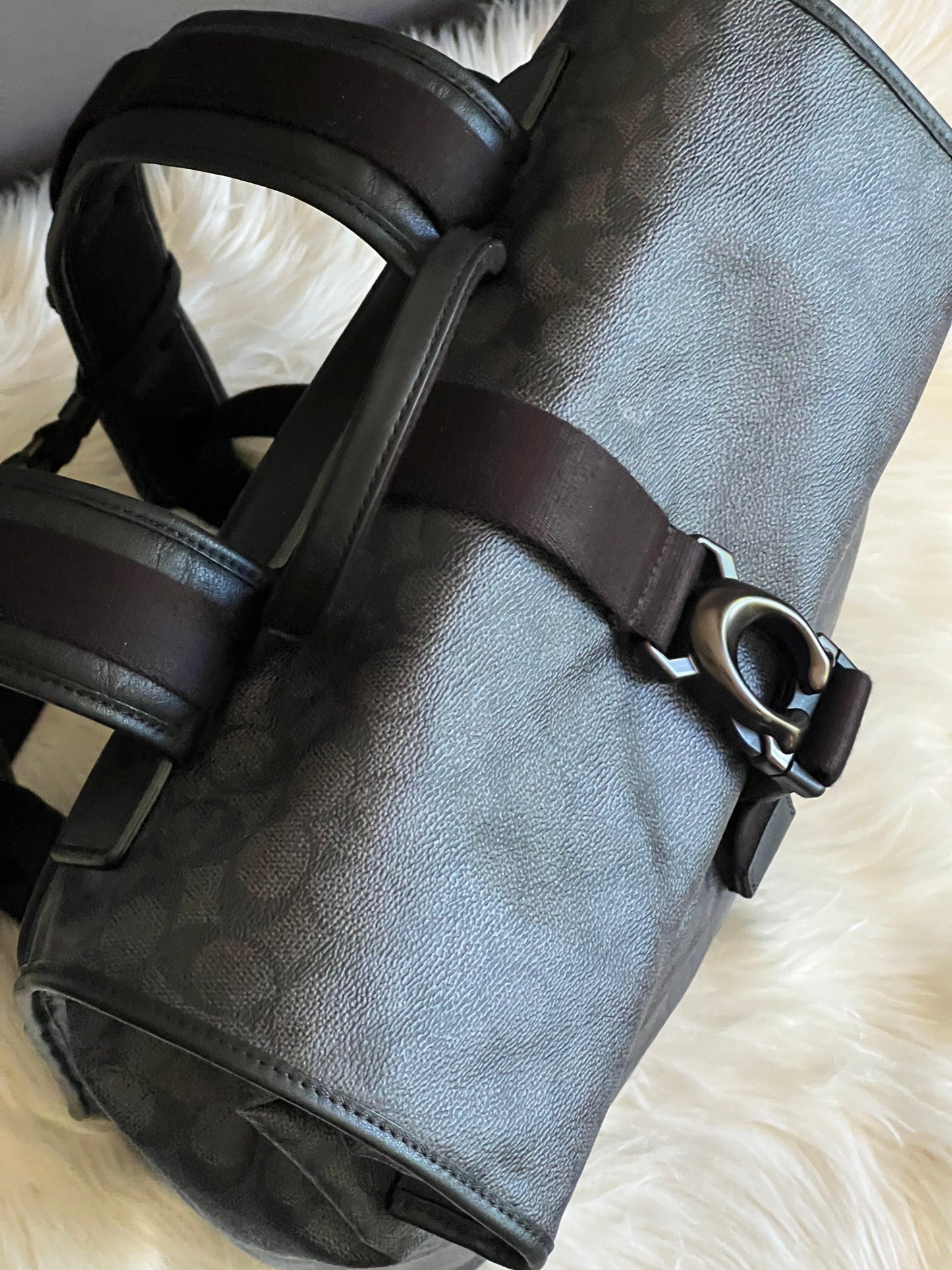 Coach Beck Roll Top Backpack in Signature Canvas