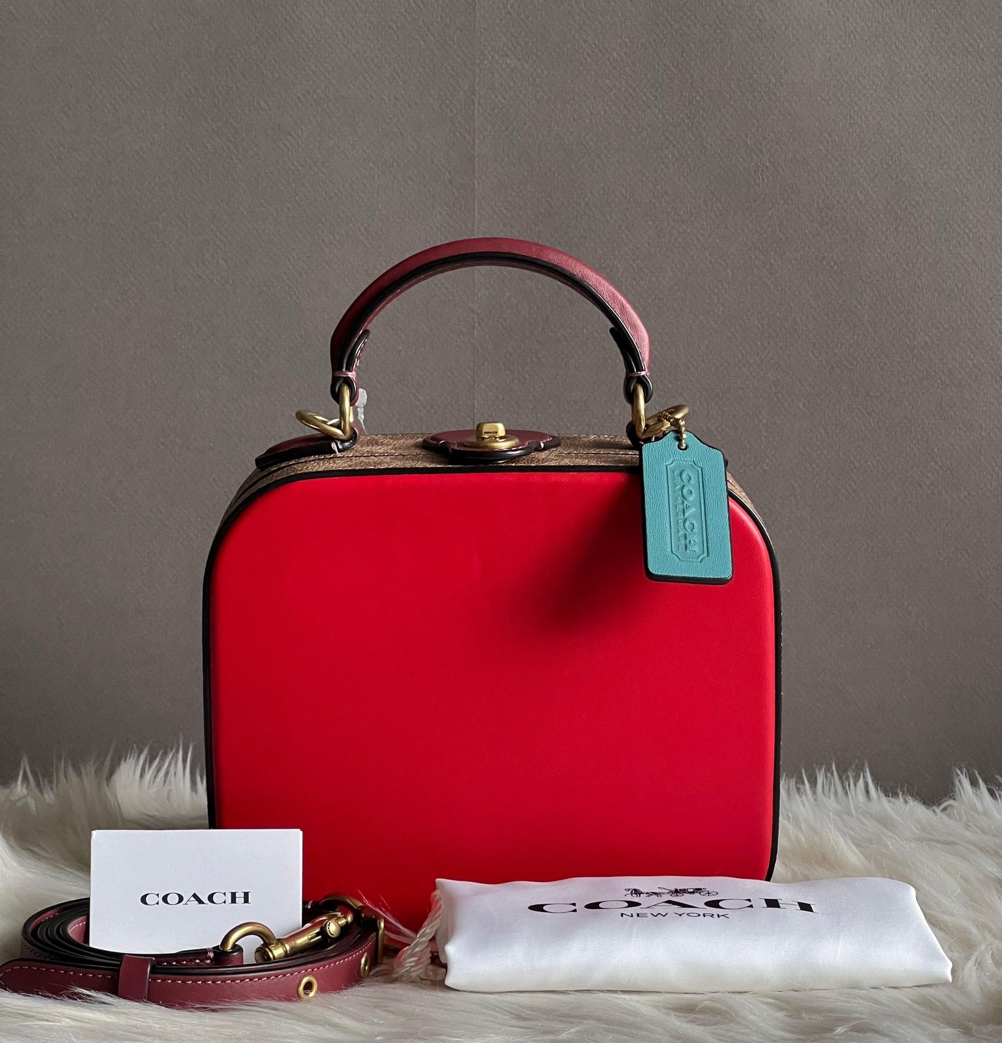 Coach Lunar New Year Square Bag in Signature Canvas