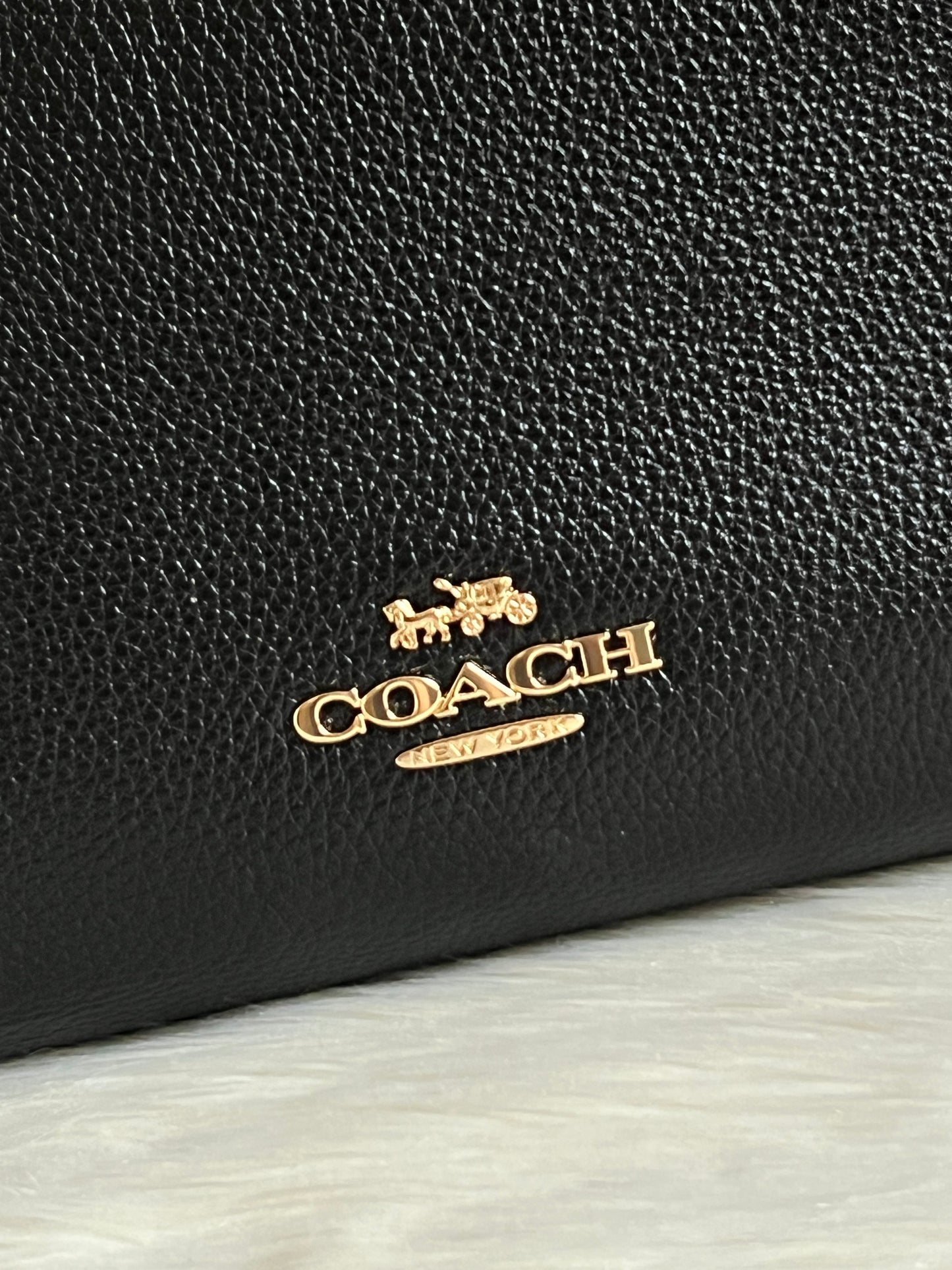 Coach Maggie Tote Bag
