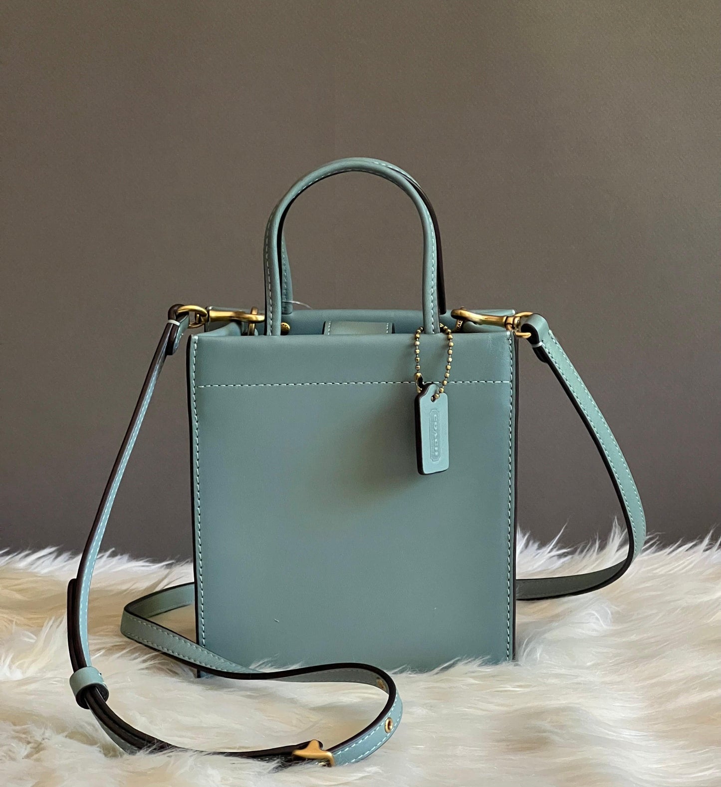 Coach Mini Cashin Tote