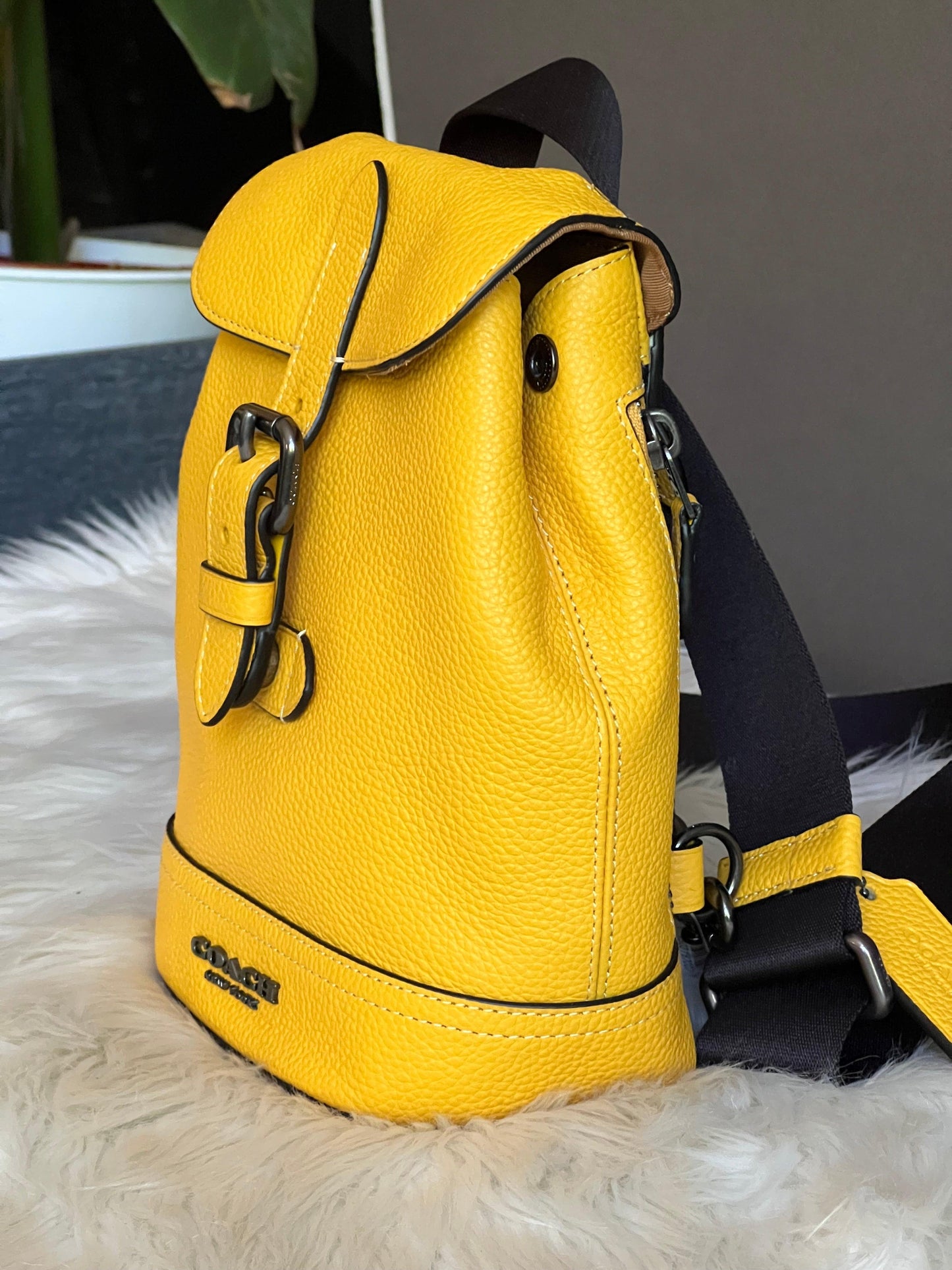 Coach Hudson Small Pack