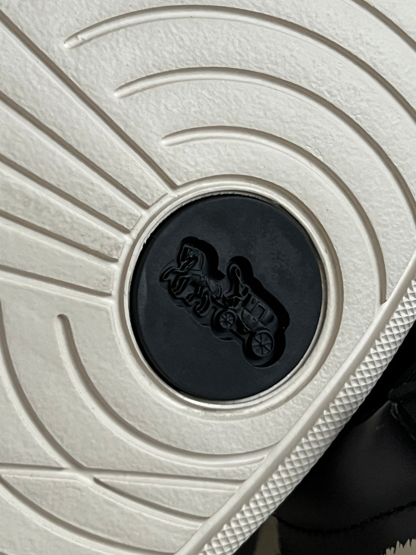 Coach Lowline Low Top Sneaker with Print