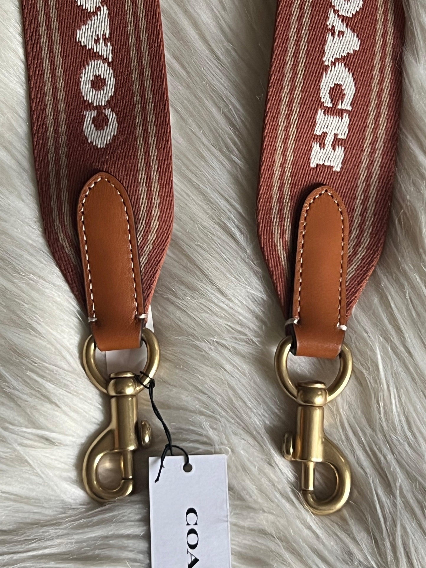 Coach Colorblock Webbing Strap