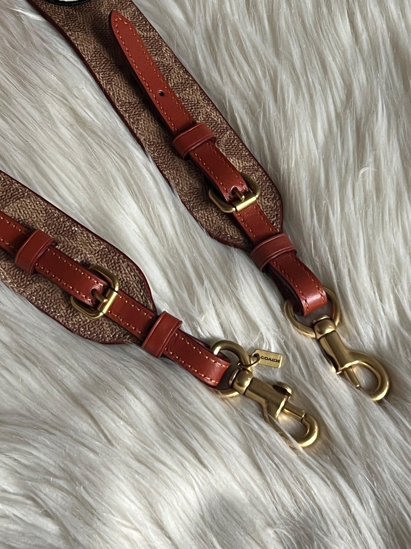 Coach Strap In Signature Canvas With Patches