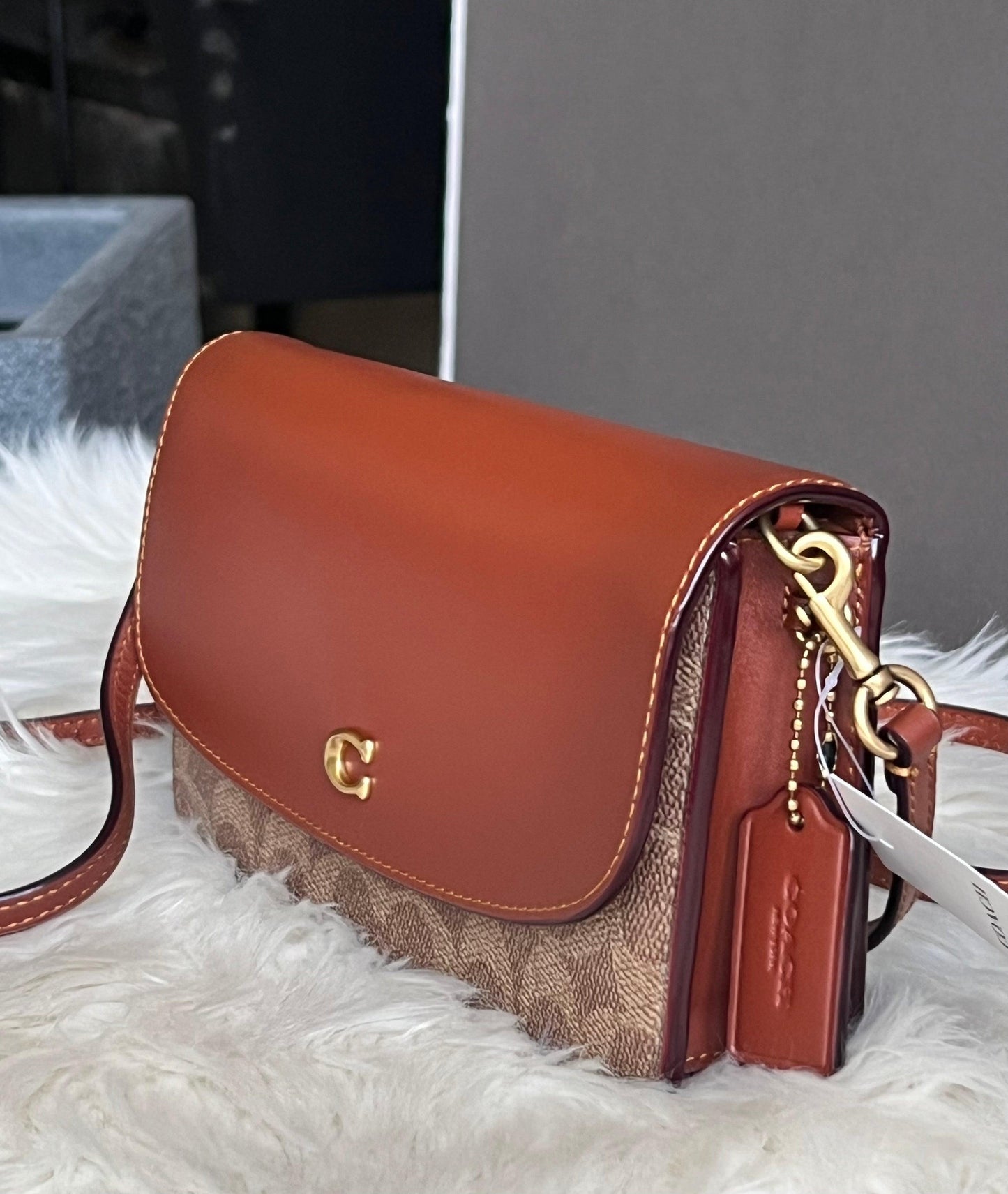 Coach Hayden Crossbody in Signature Canvas