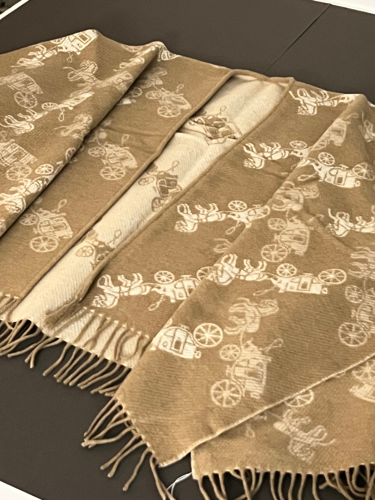 Coach Reversible Horse And Carriage Poncho