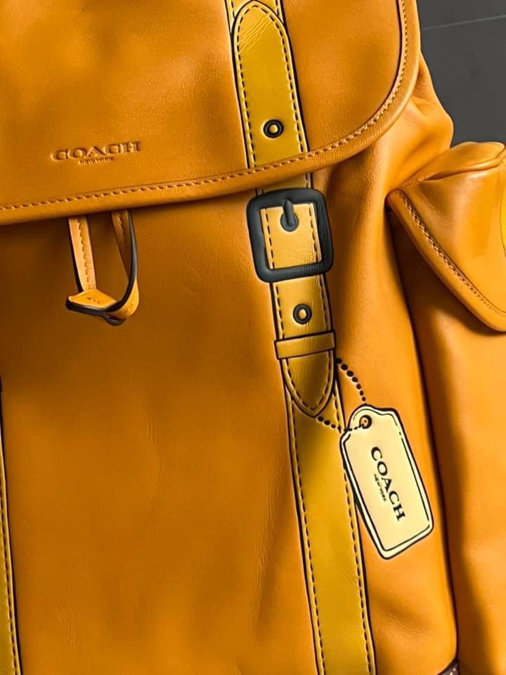 Coach Hitch Backpack with Trompe L’oeil