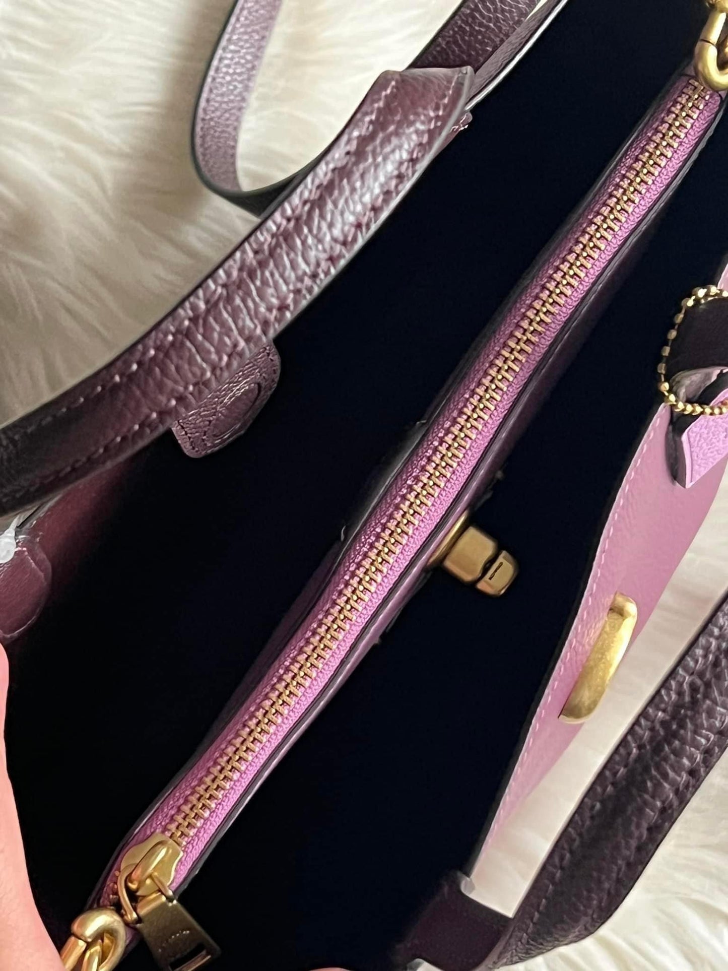 Coach Willow Tote 24 in Colorblock