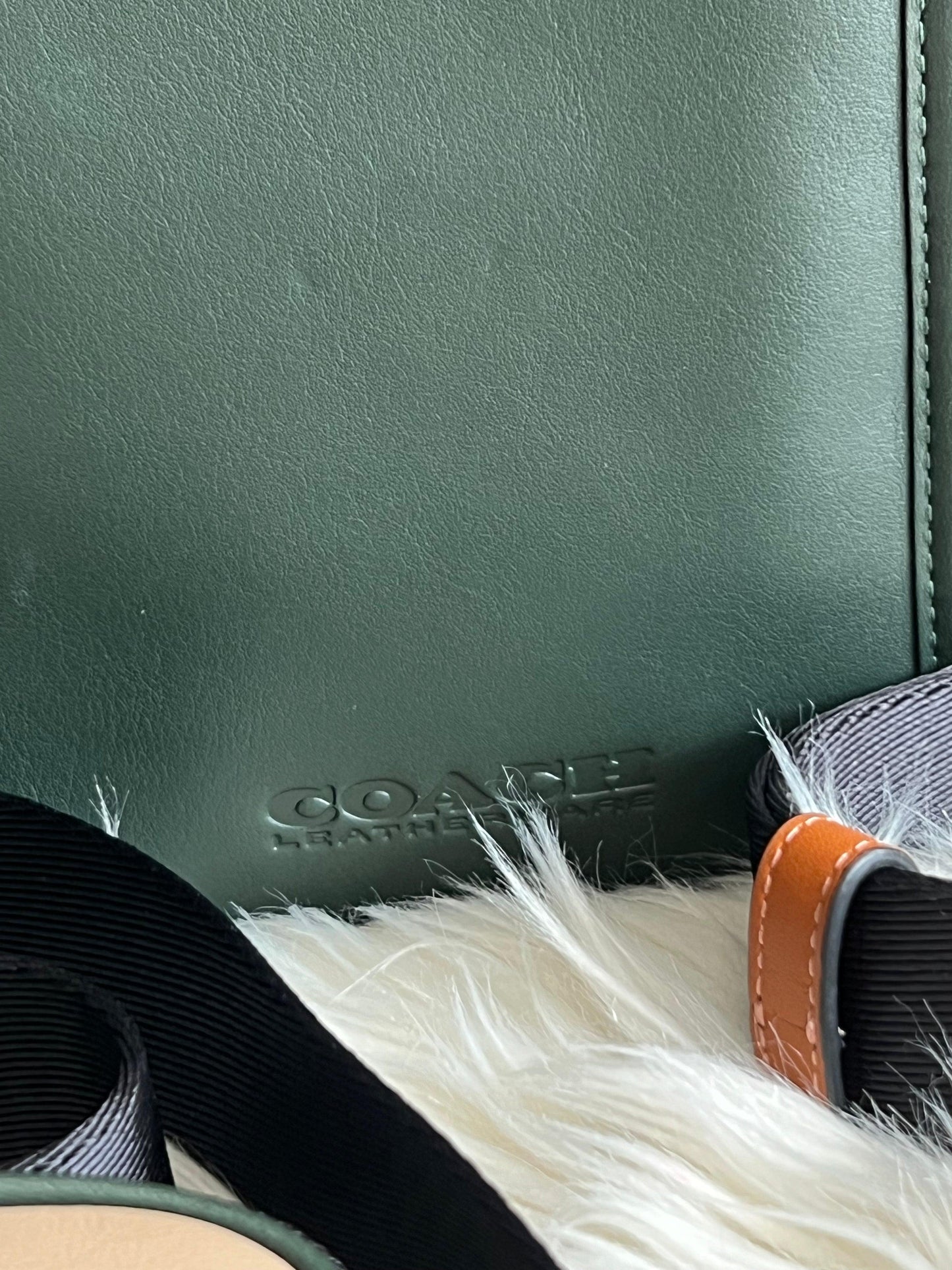 Coach Charter North/South Crossbody With Hybrid Pouch in Colorblock