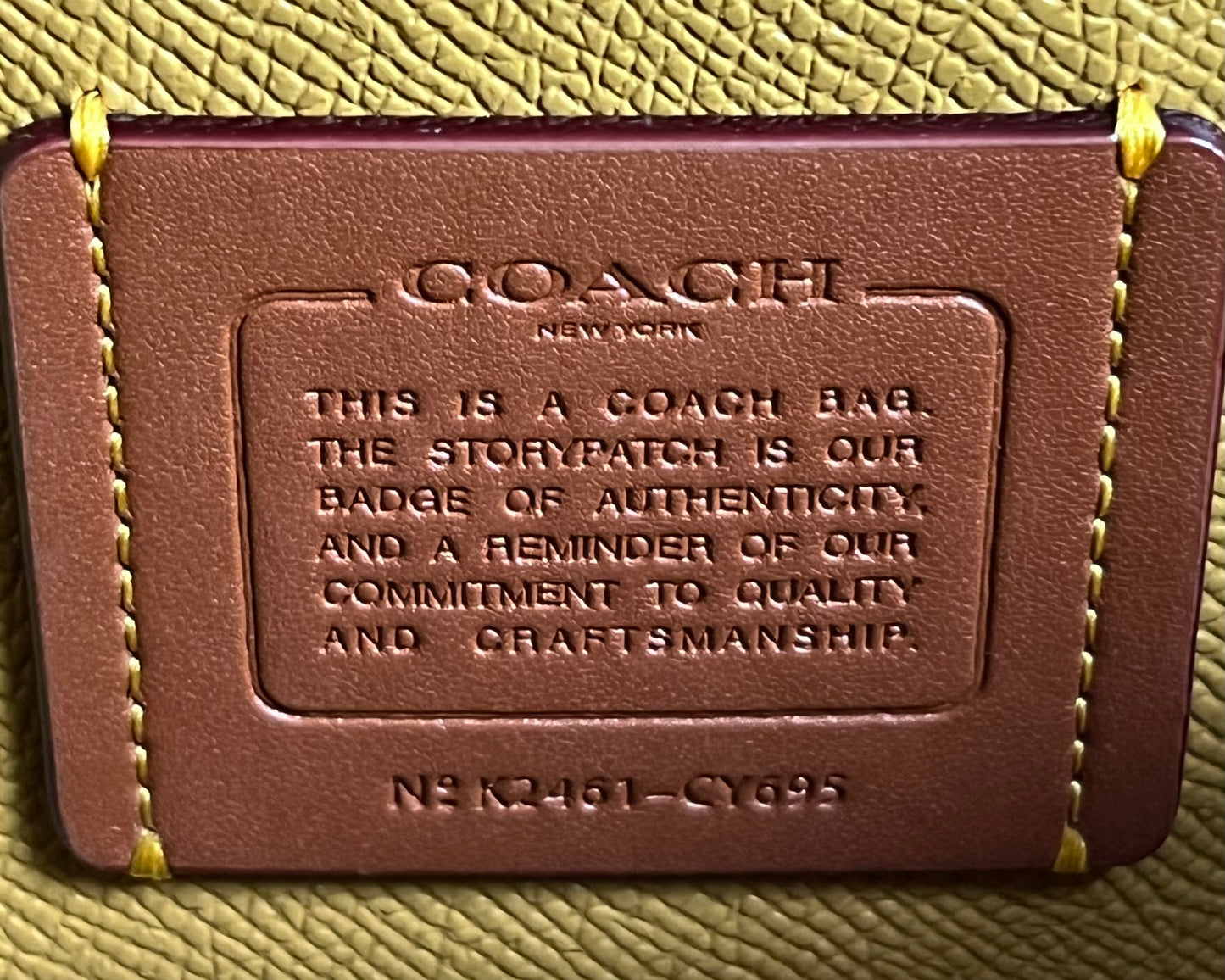Coach Mollie Tote Bag 25 With Cherry Print
