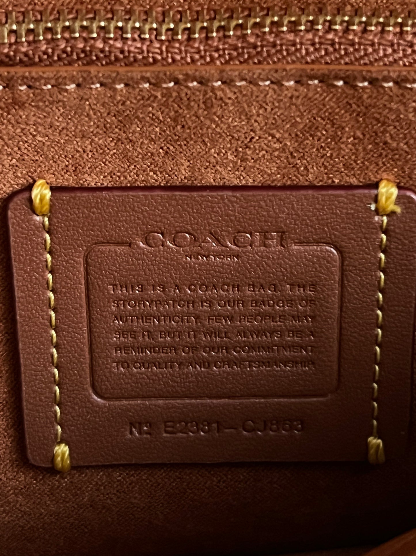 Coach Tabby Chain Clutch with Braid