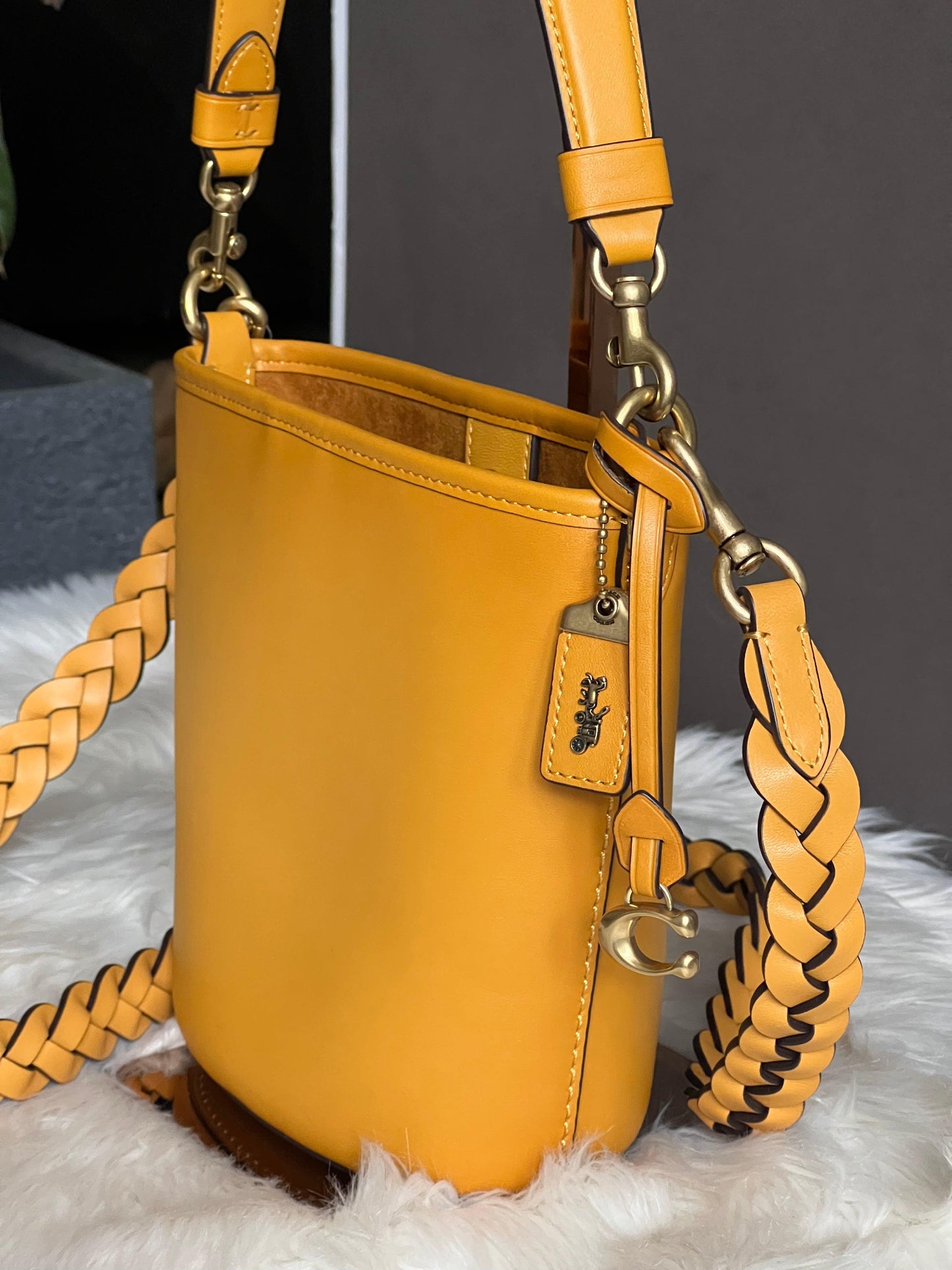 Coach Dakota Bucket Bag 16 With Braid