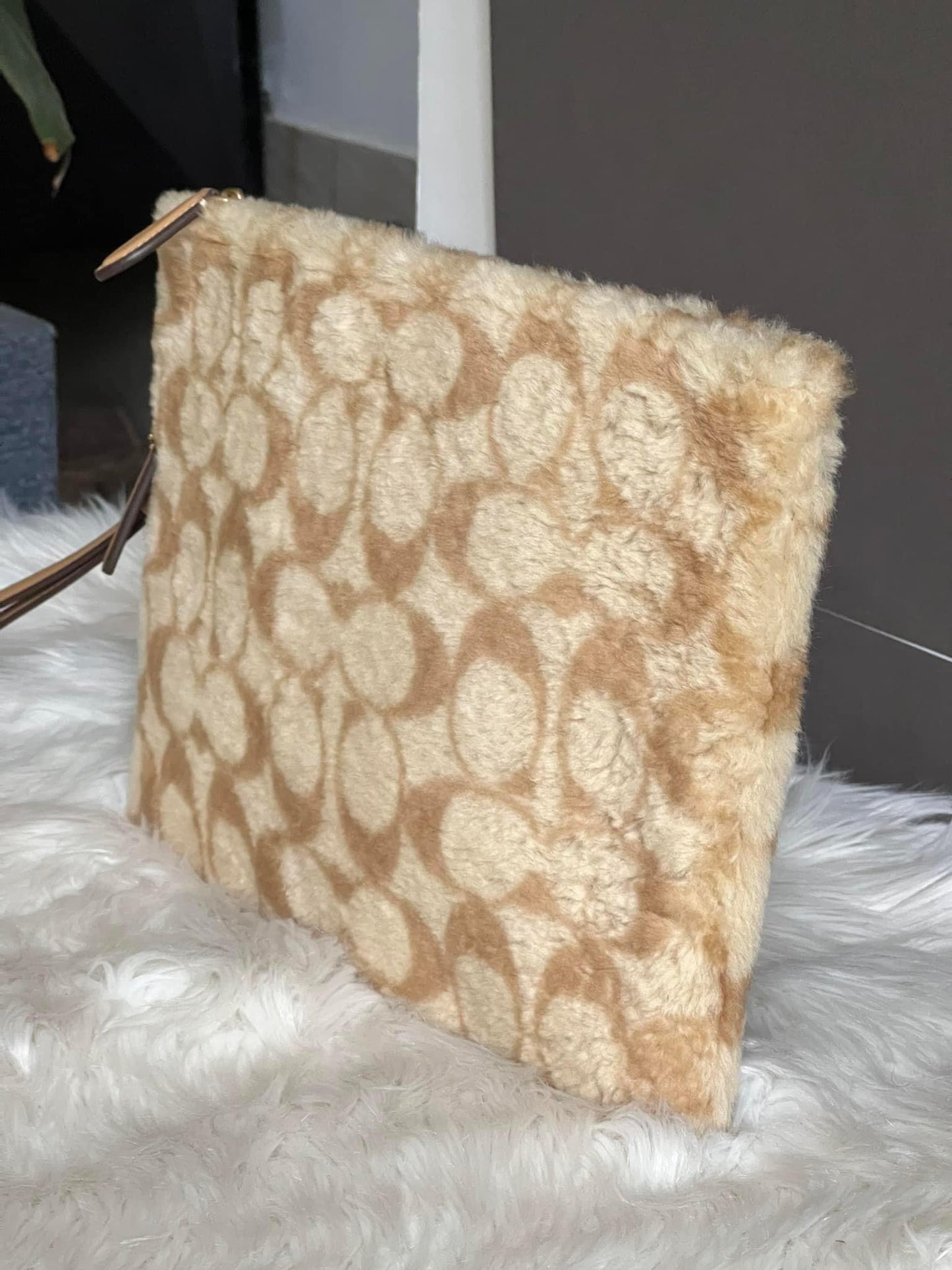 Coach Charter Pouch in Signature Shearling