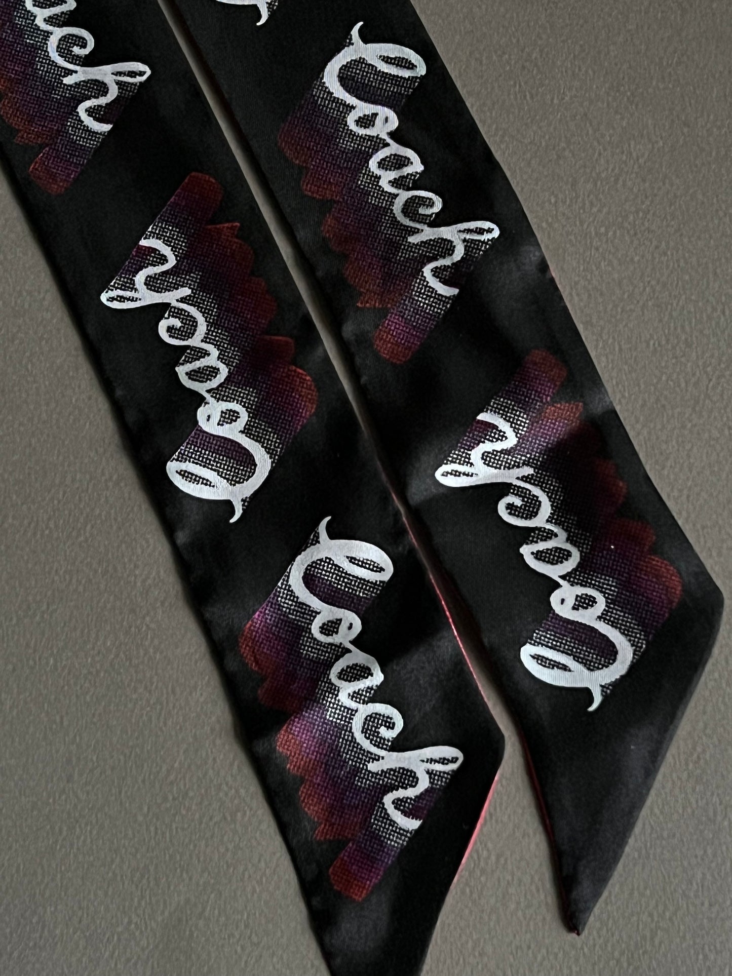 Coach Skinny Scarf/Bag Twilly