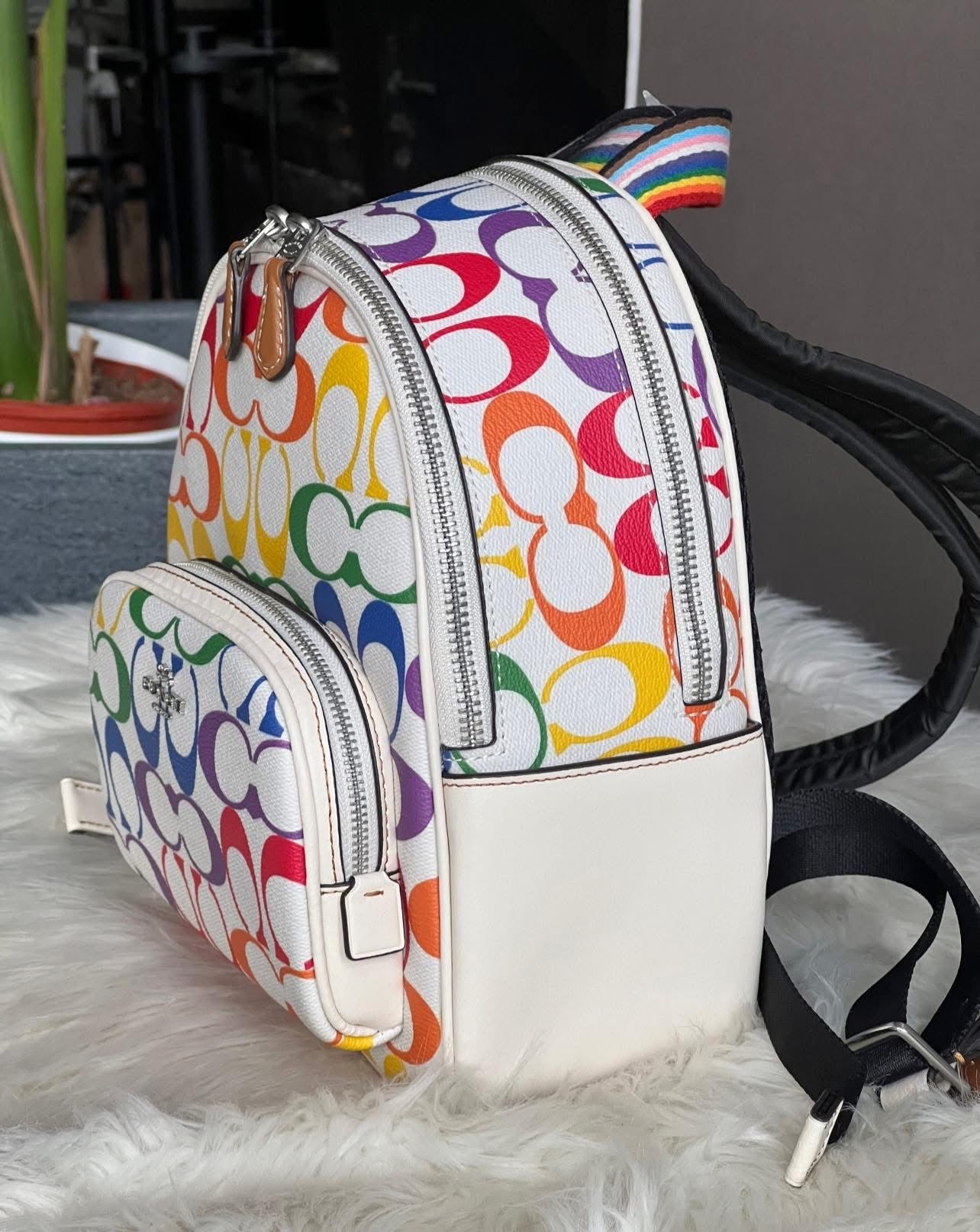 Coach Mini Court Backpack in Rainbow Signature Canvas