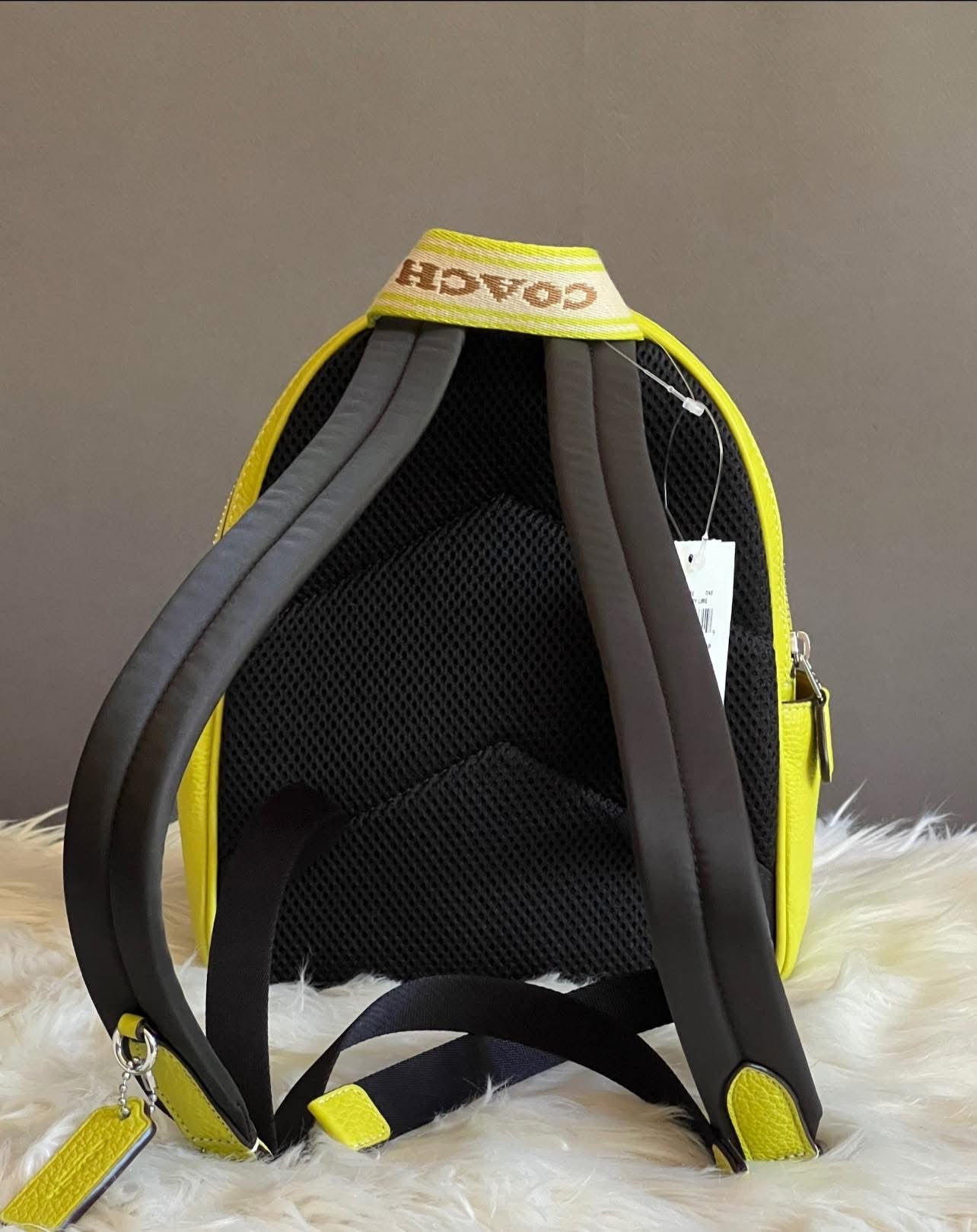 Coach Mini Court Backpack in Signature Canvas