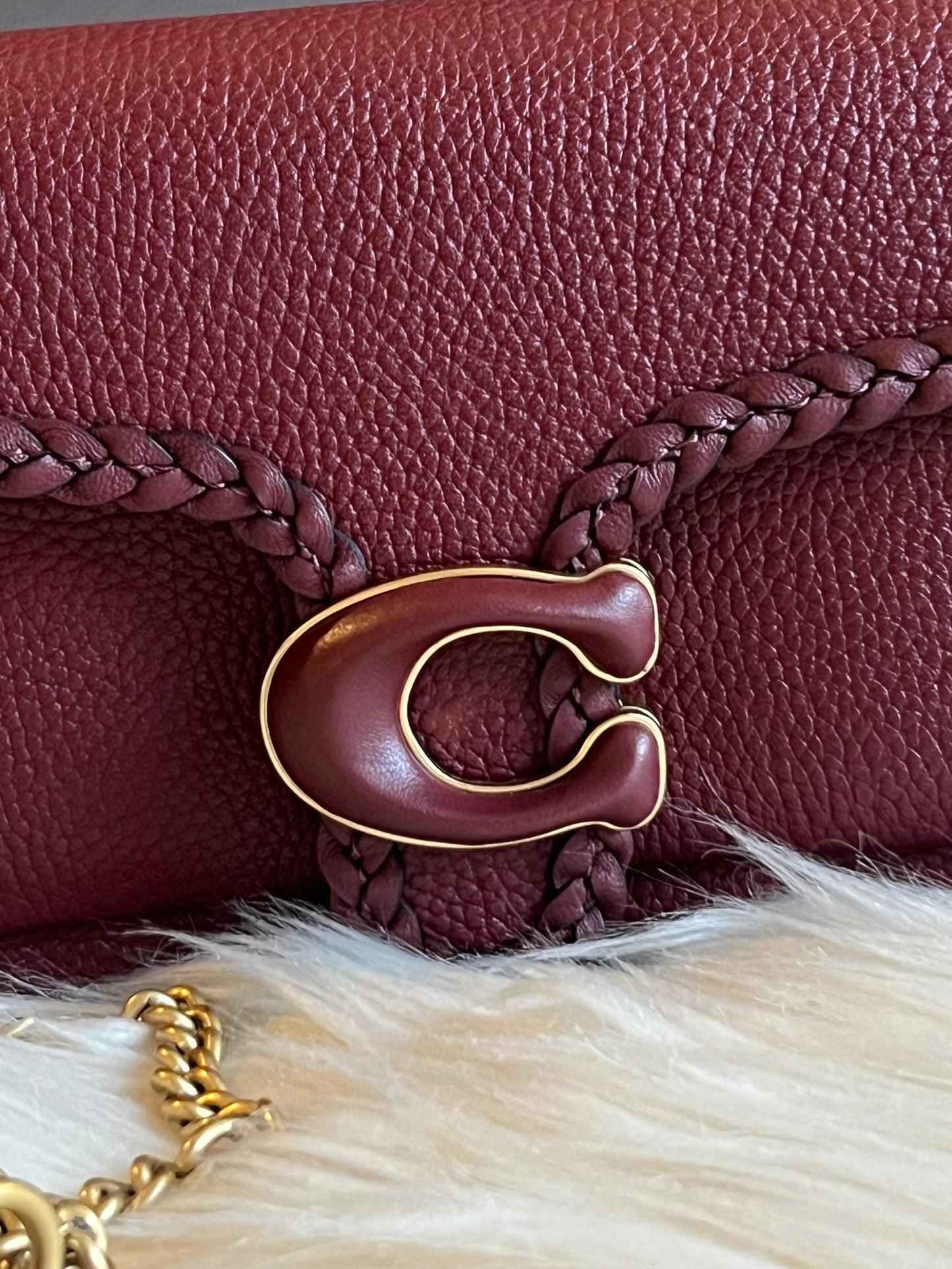 Coach Tabby Chain Clutch with Braid