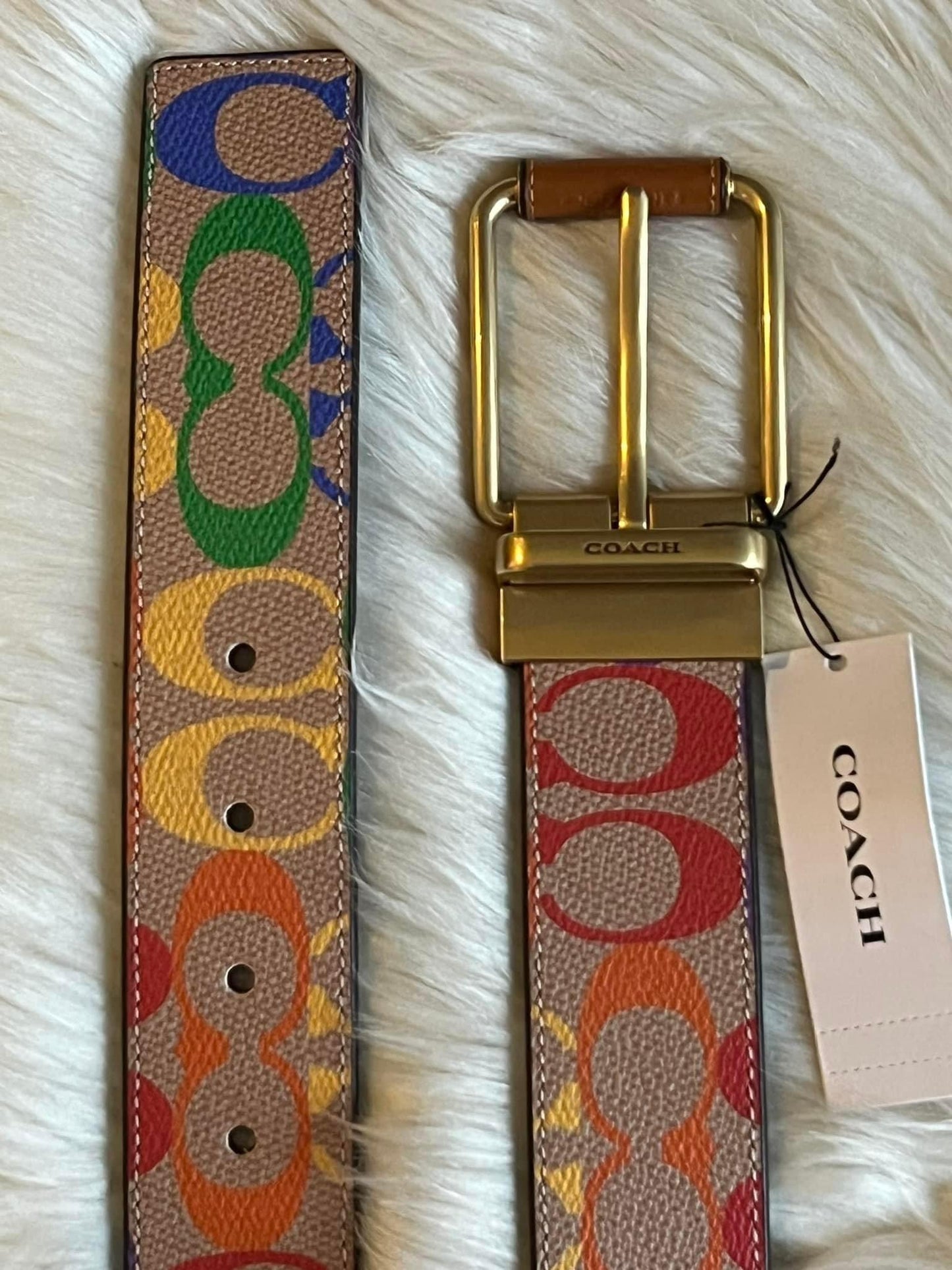 Coach Roller Buckle Cut To Size Reversible Belt In Rainbow Signature Canvas