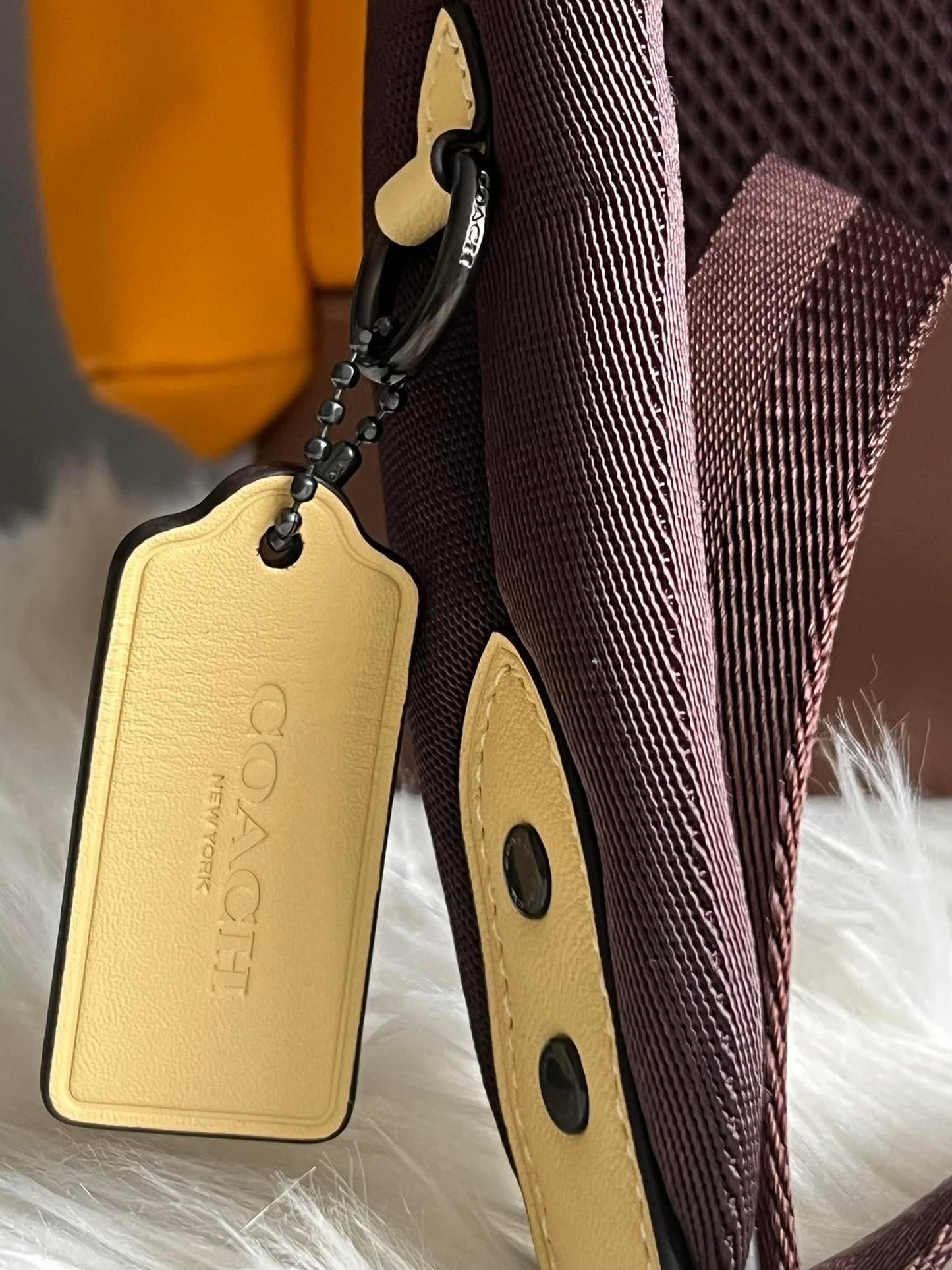 Coach Hitch Backpack with Trompe L’oeil