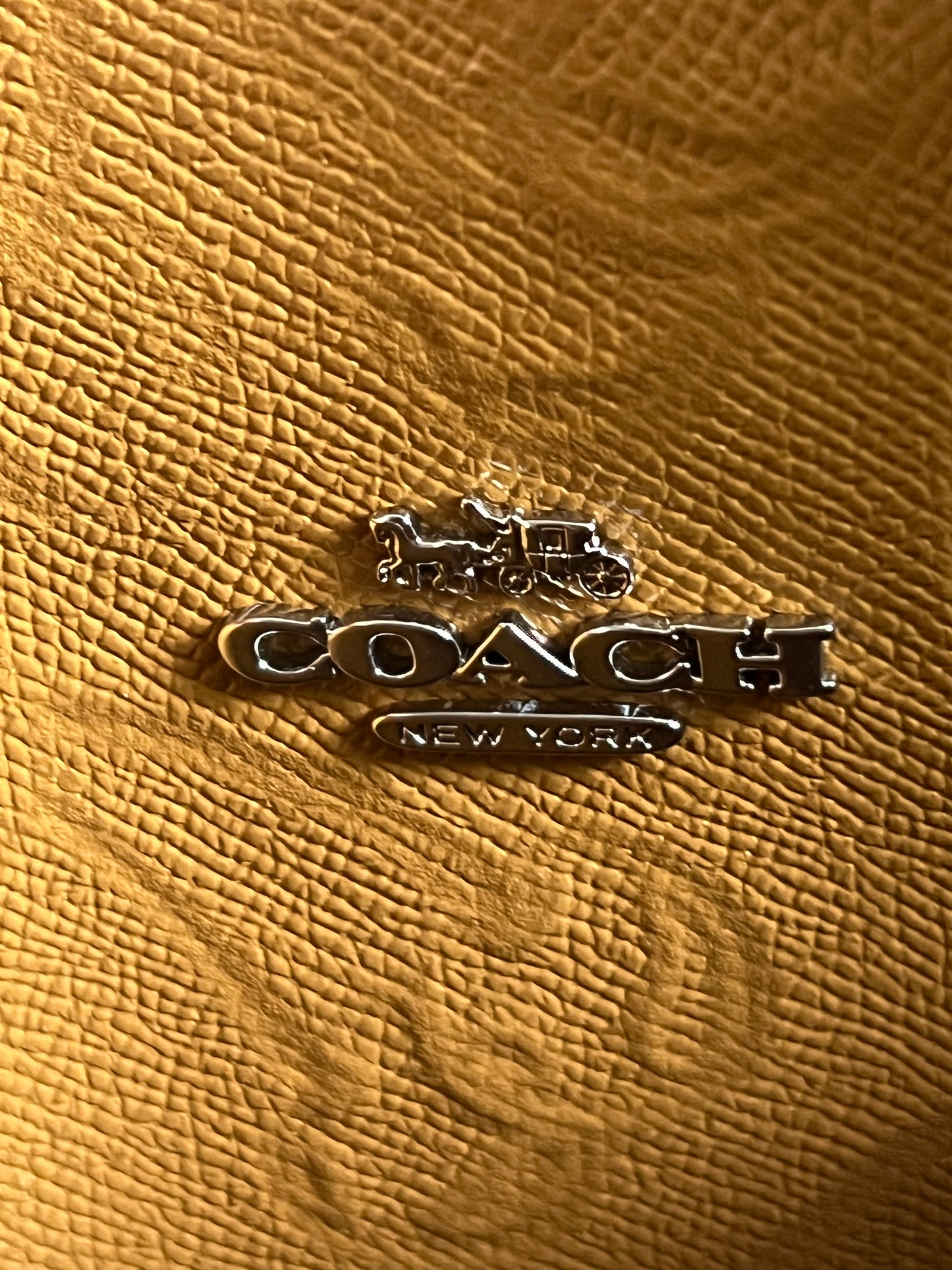 Coach Mollie Tote Bag 25 With Cherry Print