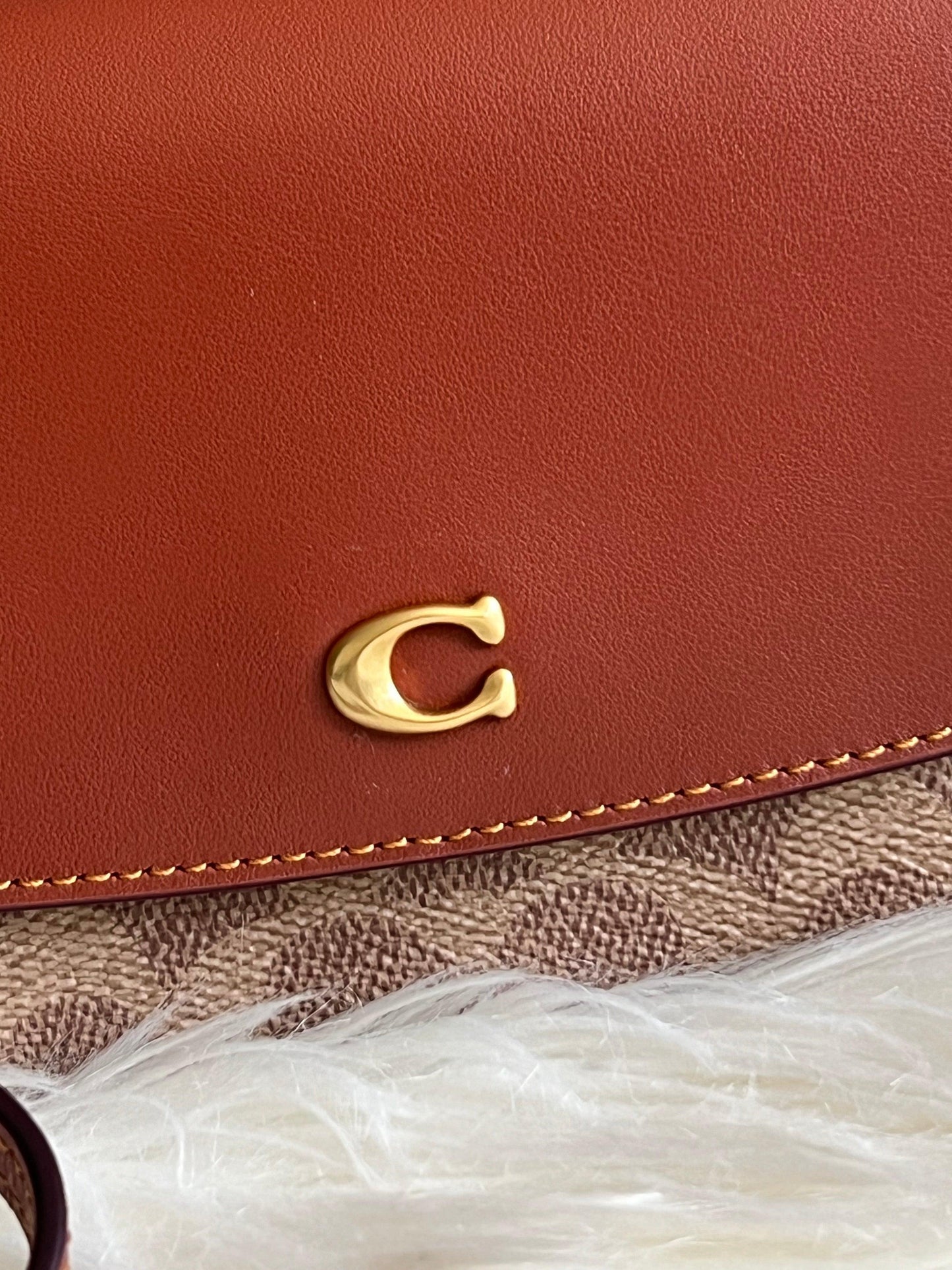 Coach Hayden Crossbody in Signature Canvas