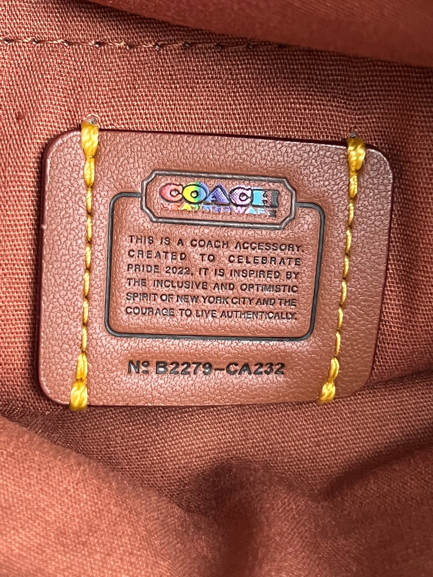 Coach Kitt Messenger Crossbody in Rainbow Signature Canvas