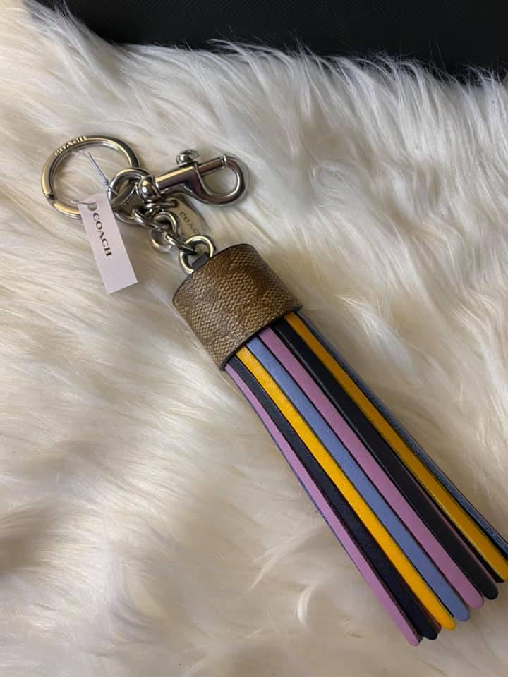 Coach Colorblock Bag Charm in Signature Canvas