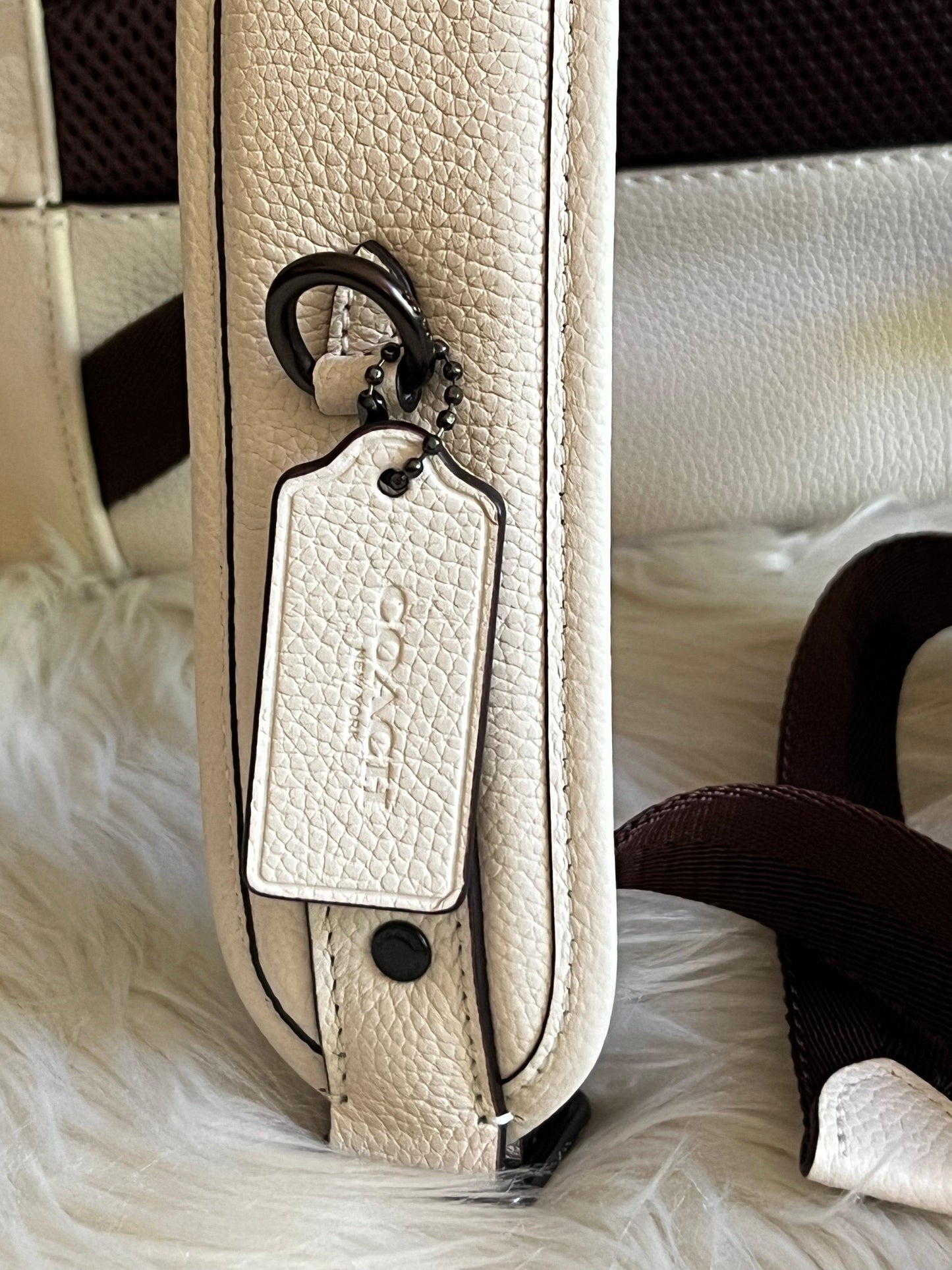 Coach Hitch Backpack in Signature Leather