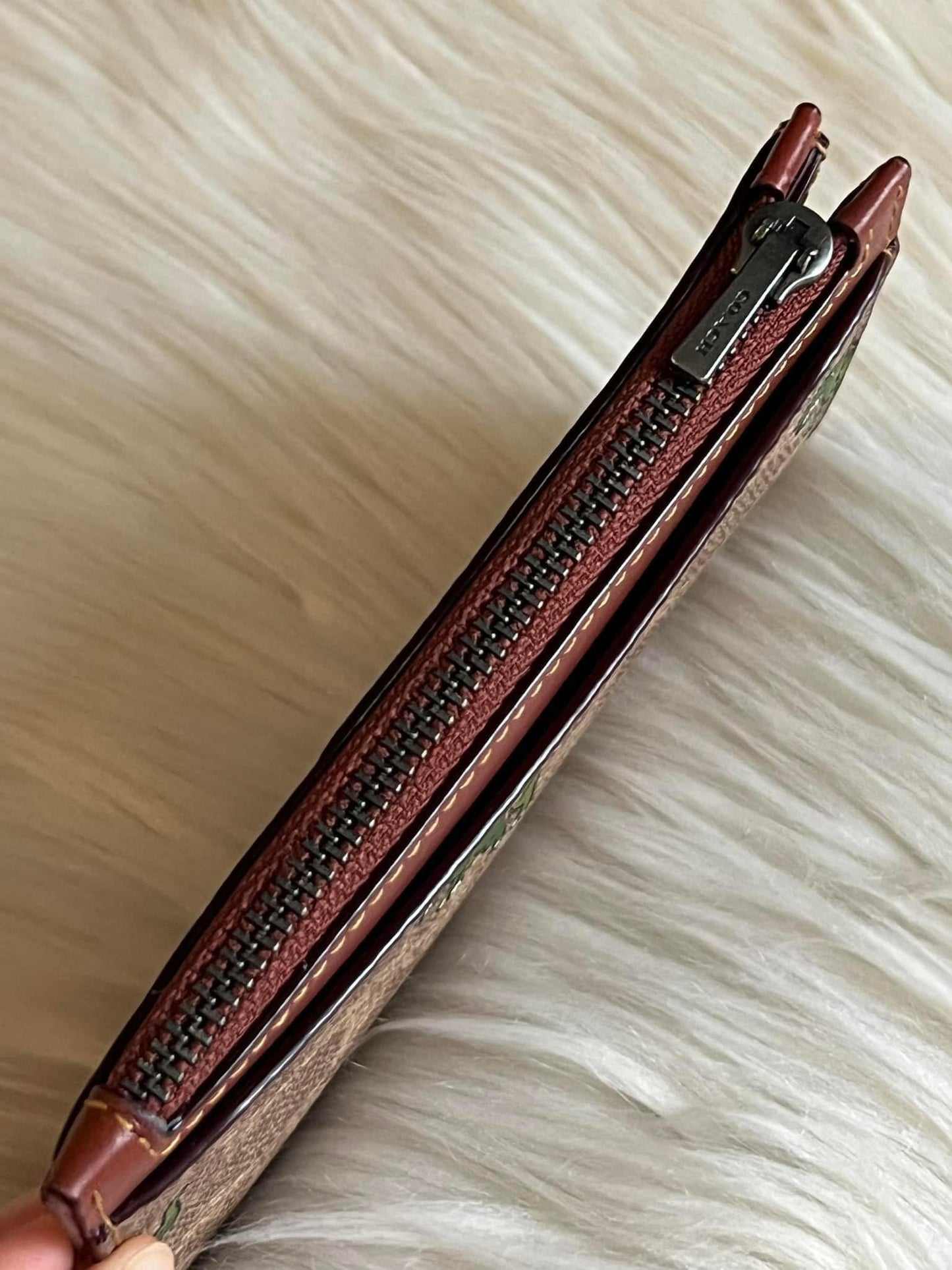 Coach L Zip Card Case in Signature Canvas with Rexy Print