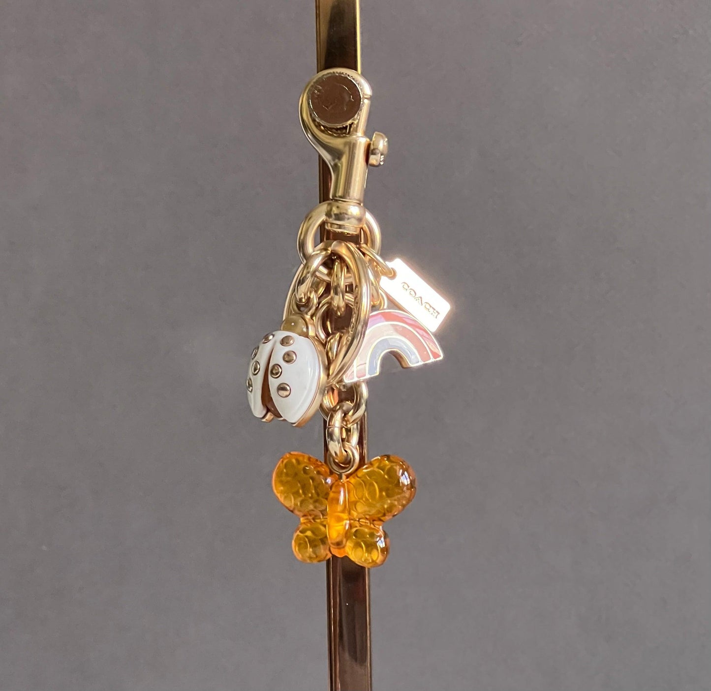 Coach Rainbow Clusters Ladybug Butterfly Bag Charm