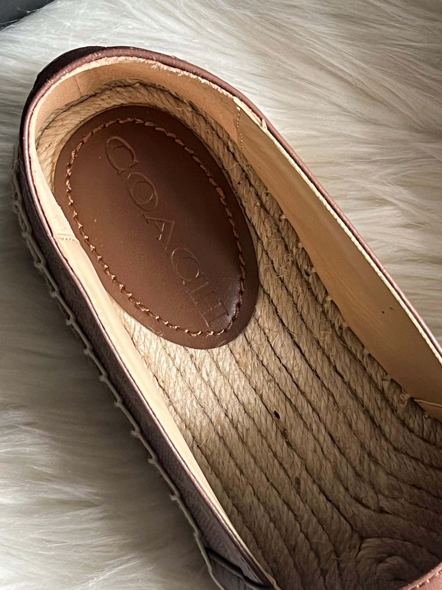 Coach Collins Espadrille in Signature Canvas