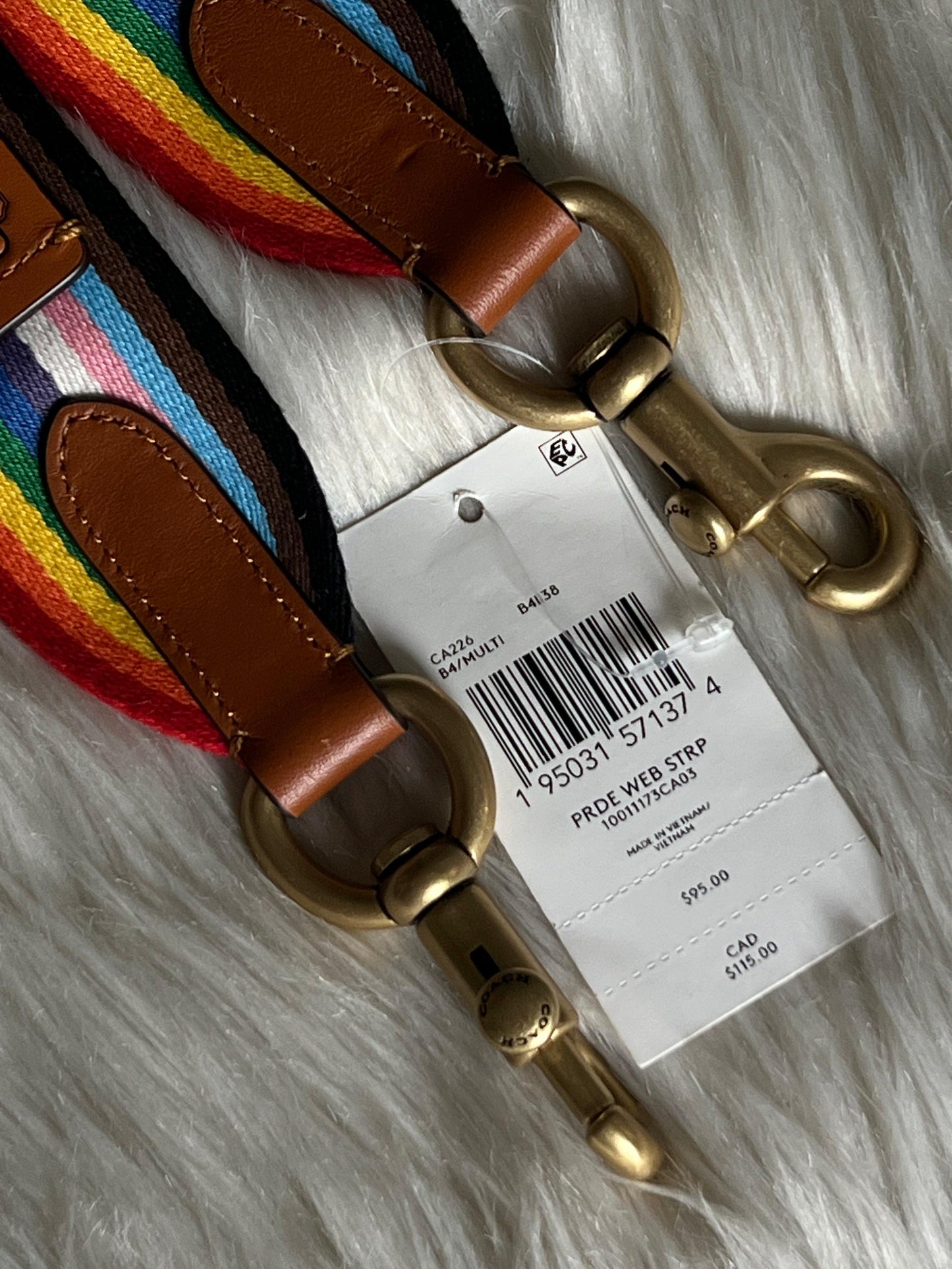 Coach Rainbow Webbing Strap
