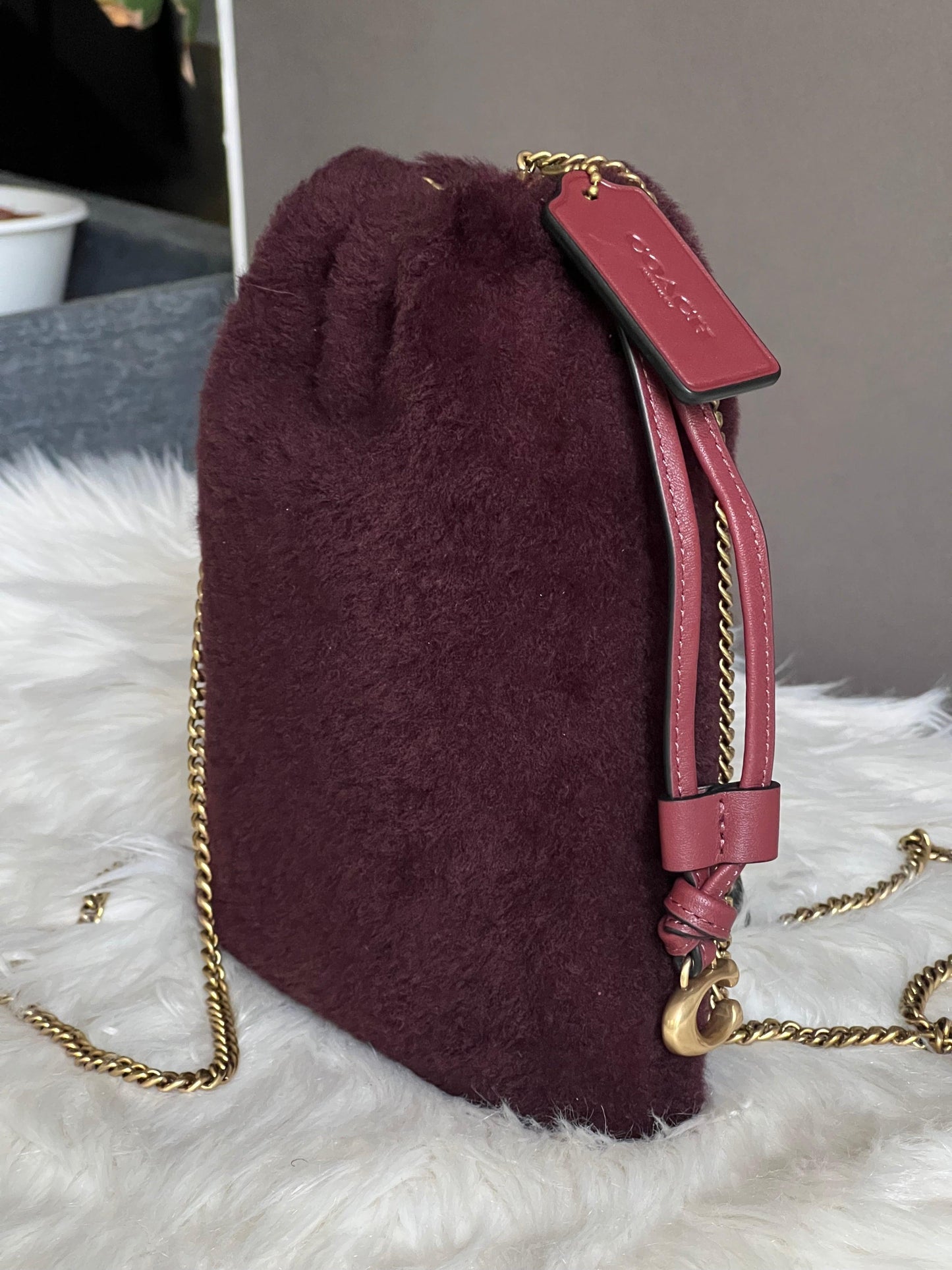 Coach Drawstring Pouch in Shearling