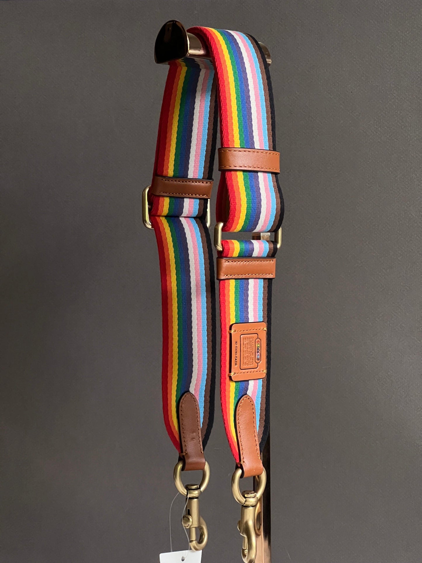 Coach Rainbow Webbing Strap