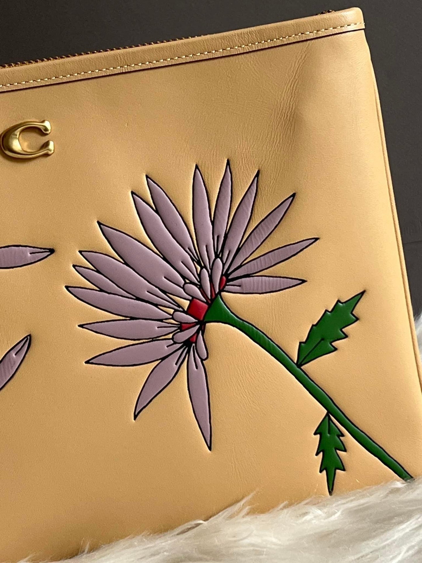 Coach X Observed By Us Essential Pouch 28