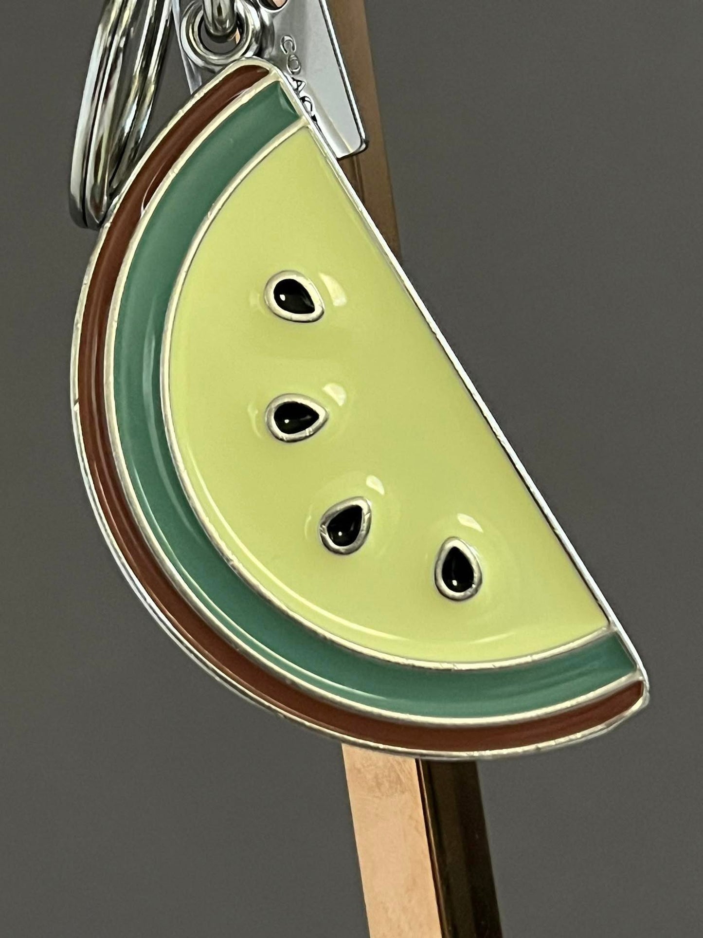 Coach Melon Slice Bag Charm
