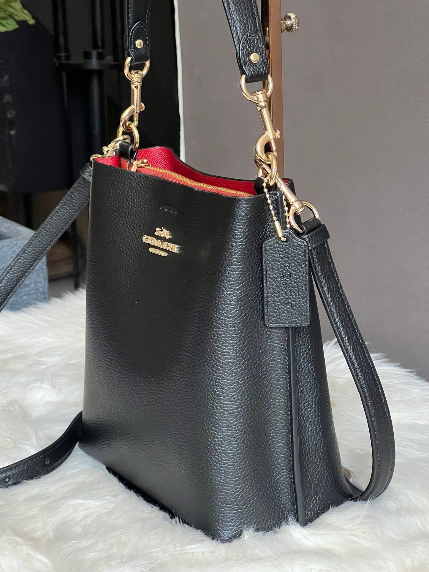 Coach Mollie Bucket Bag 22