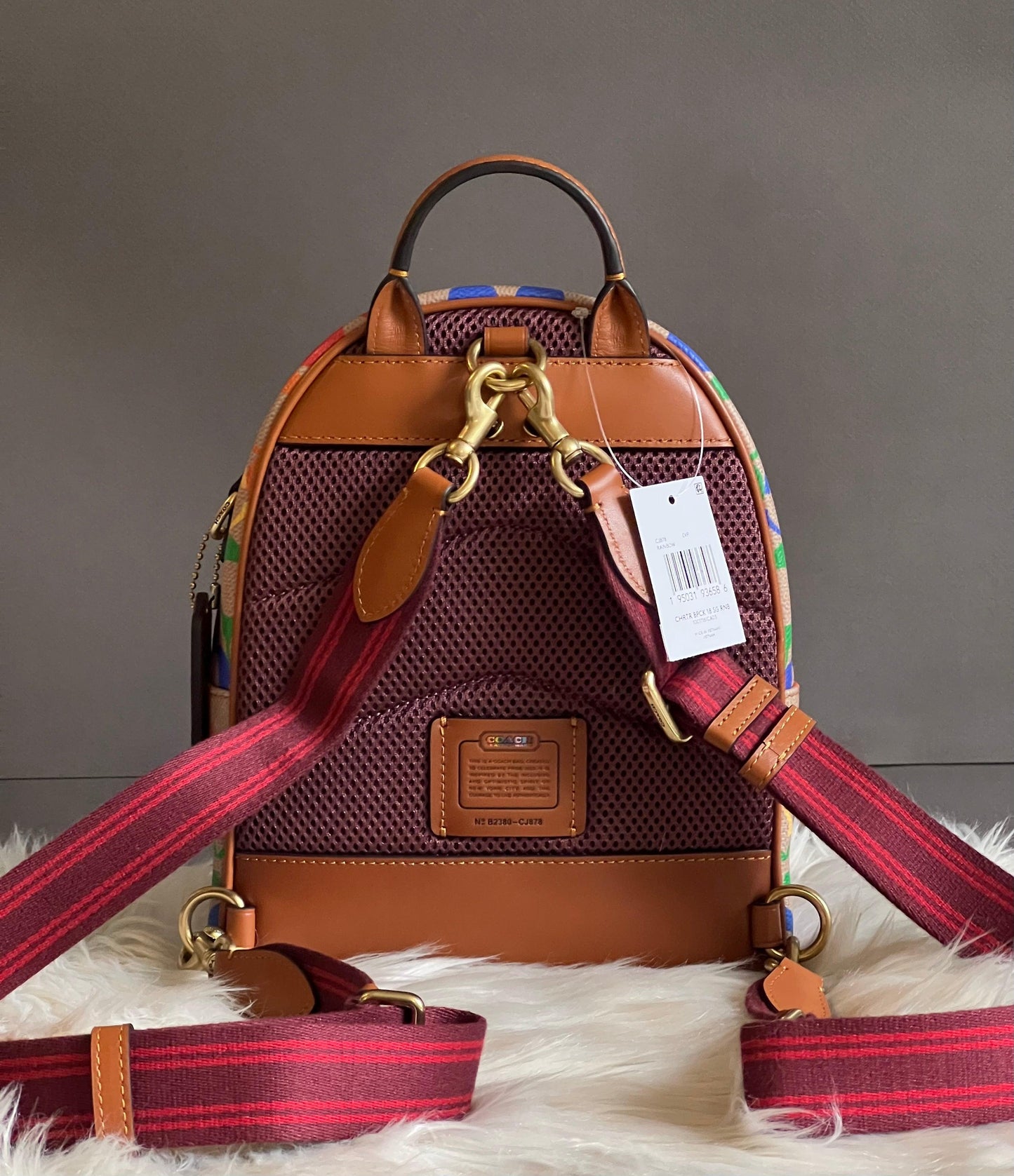 Coach Charter Backpack 18 in Rainbow Signature Canvas