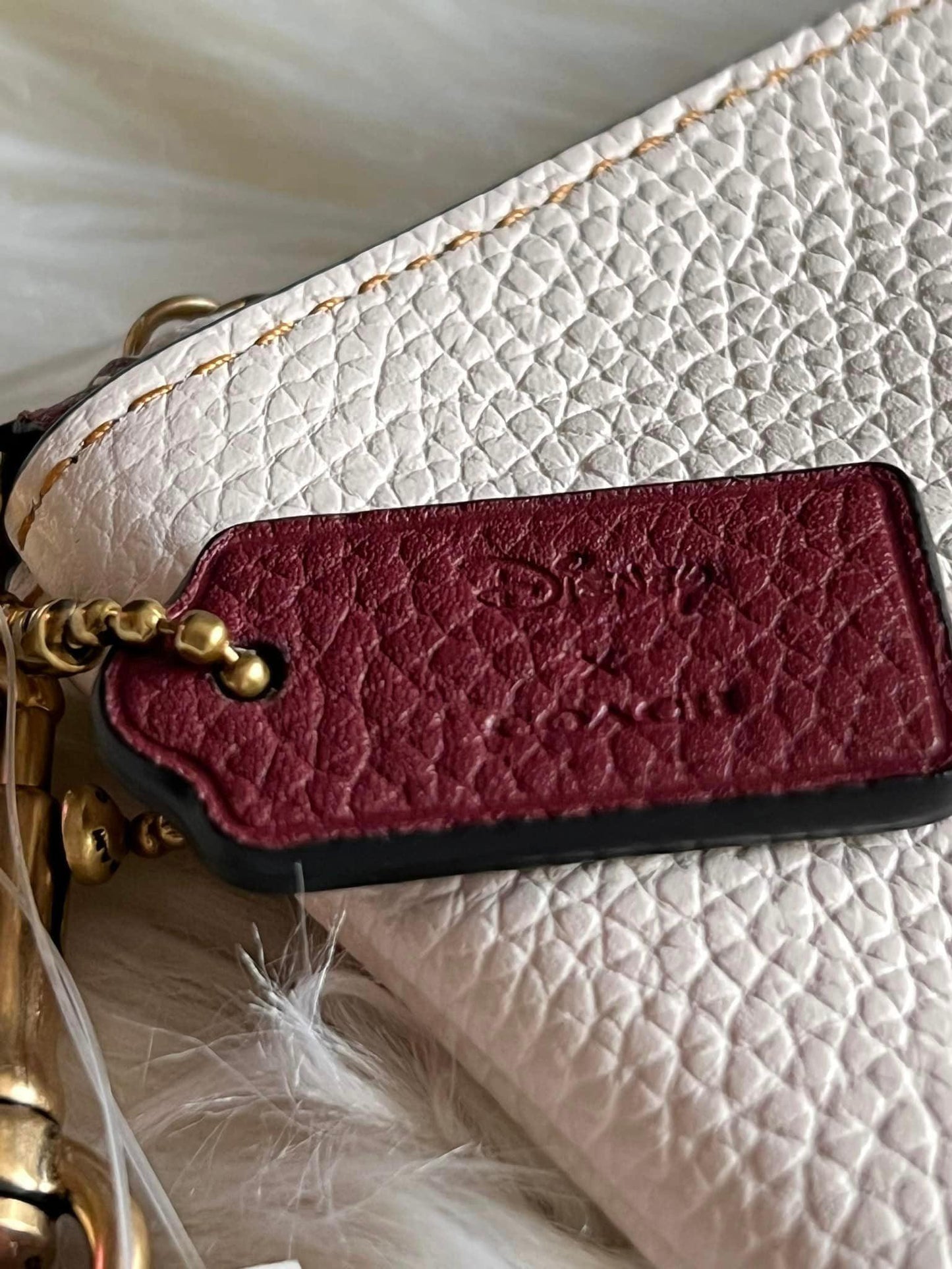 Disney X Coach Small Wristlet with Walt Disney World Motif