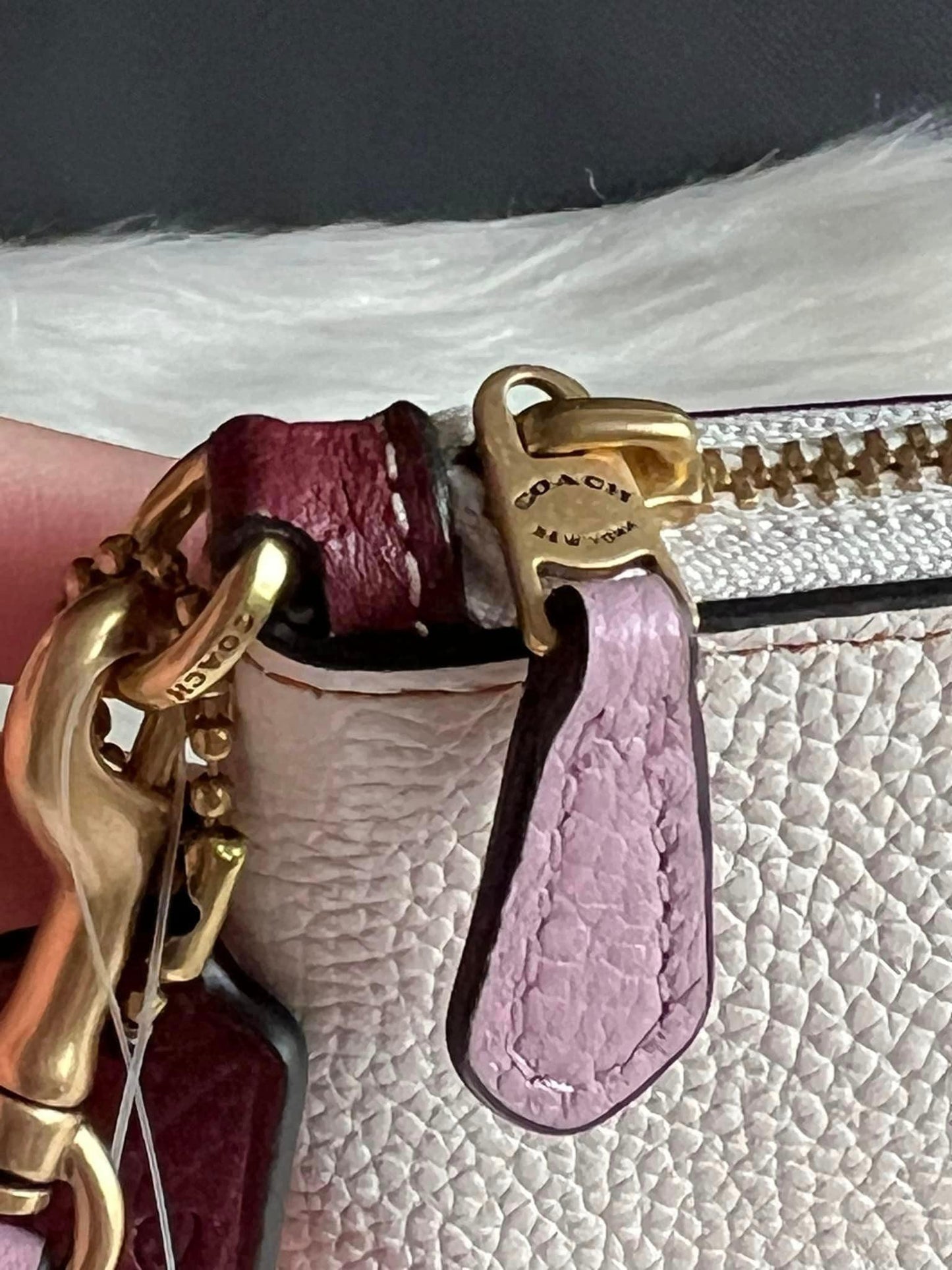 Disney X Coach Small Wristlet with Walt Disney World Motif