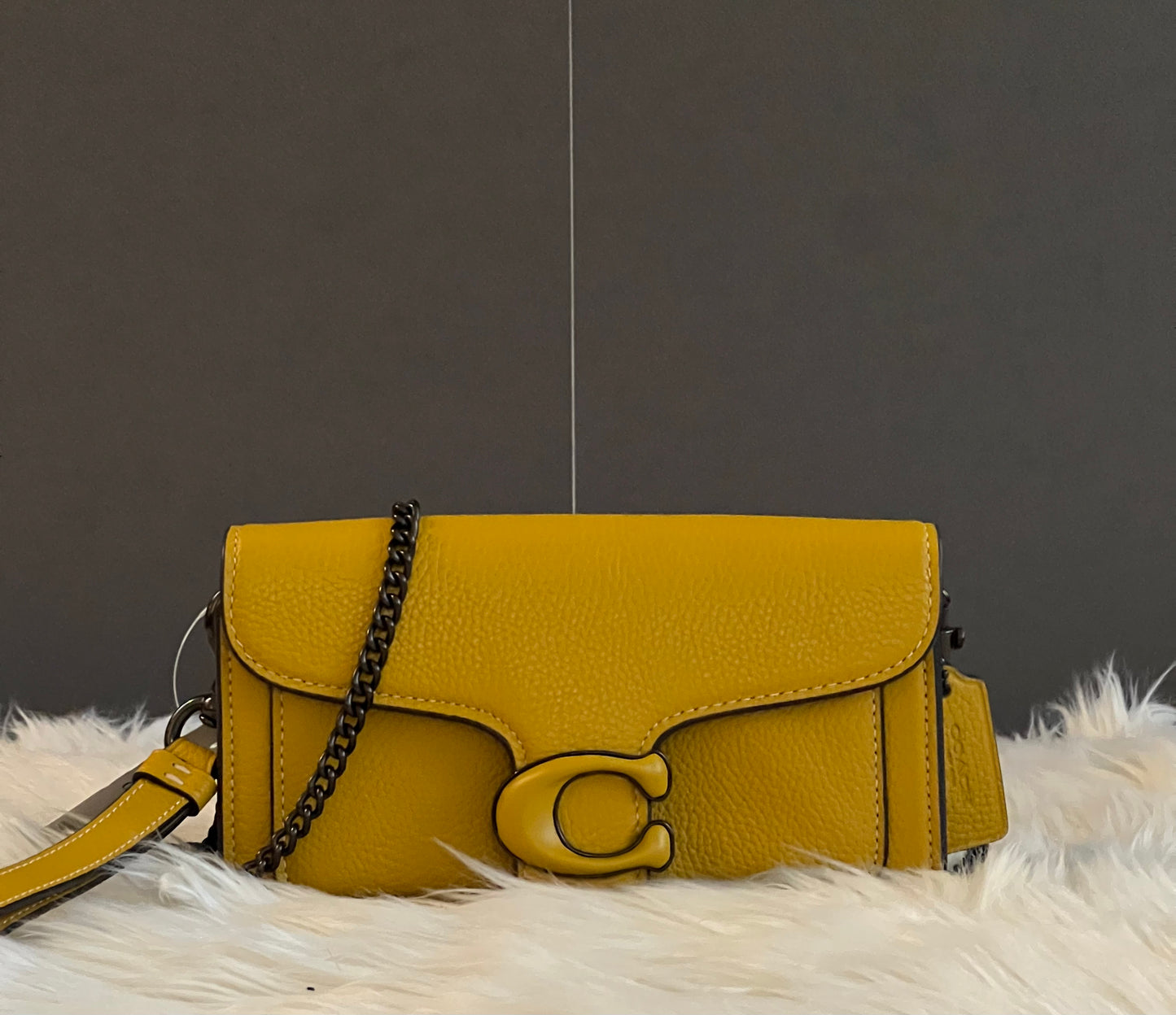 Coach Tabby Crossbody Wristlet