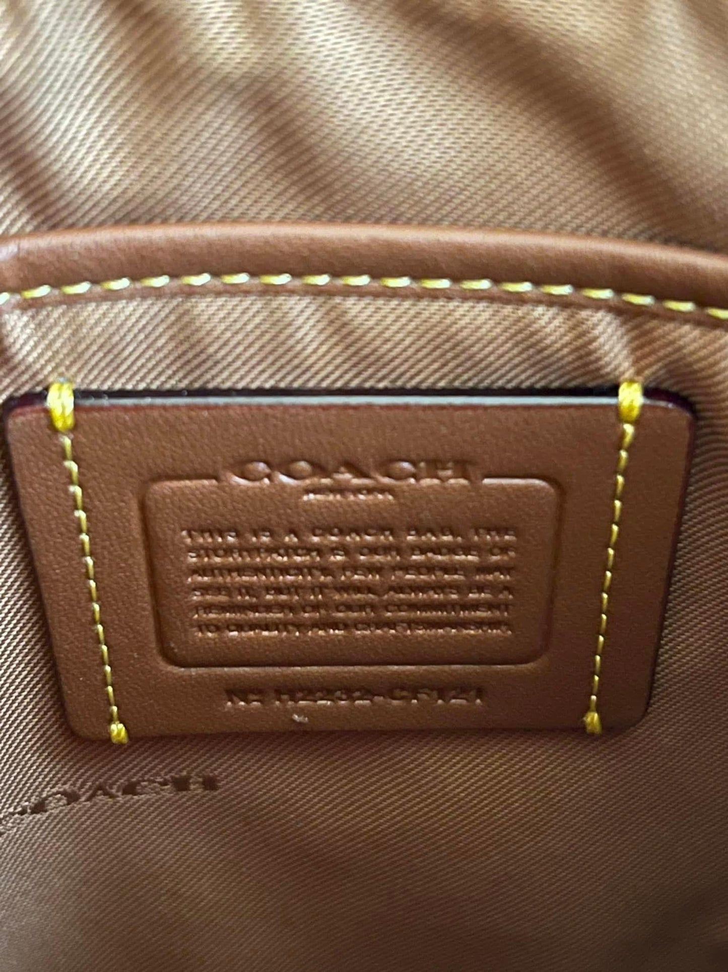 Coach Kitt Messenger Crossbody with Rexy
